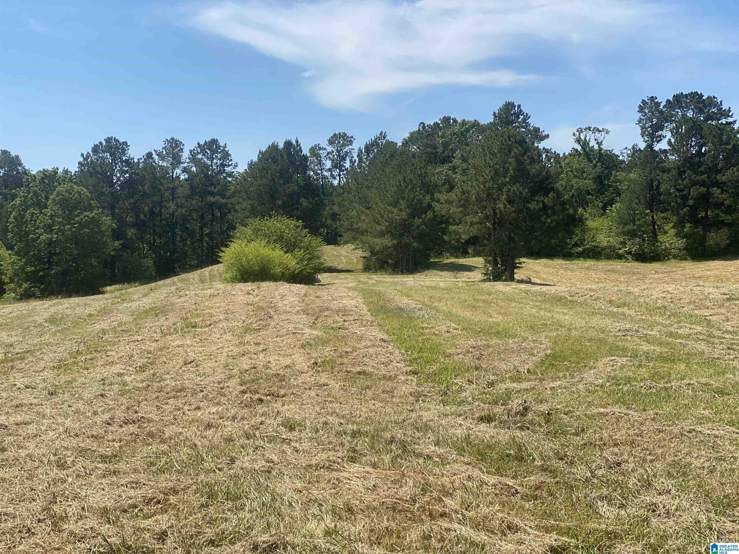 Homes for sale in Helena, AL | 492 Hwy 13, Helena, AL 35080 | MLS# 21421584