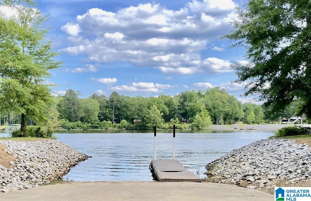 Homes for sale in Harpersville, AL | 1023 Chancellors Ferry Loop, Harpersville, AL 35078 | MLS# 21421681