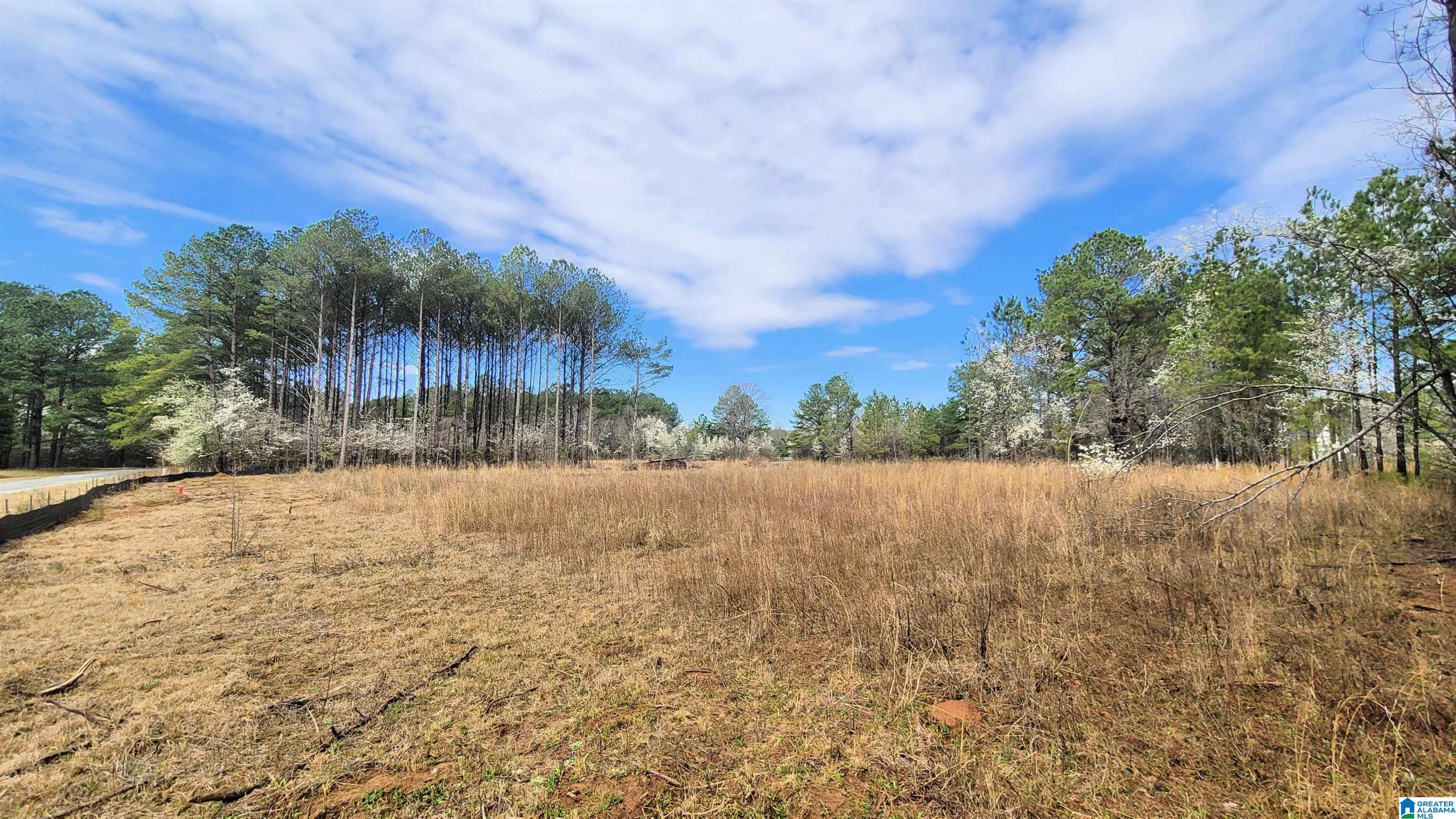 Homes for sale in Harpersville, AL | 1031 Chancellors Ferry Loop, Harpersville, AL 35078 | MLS# 21421682