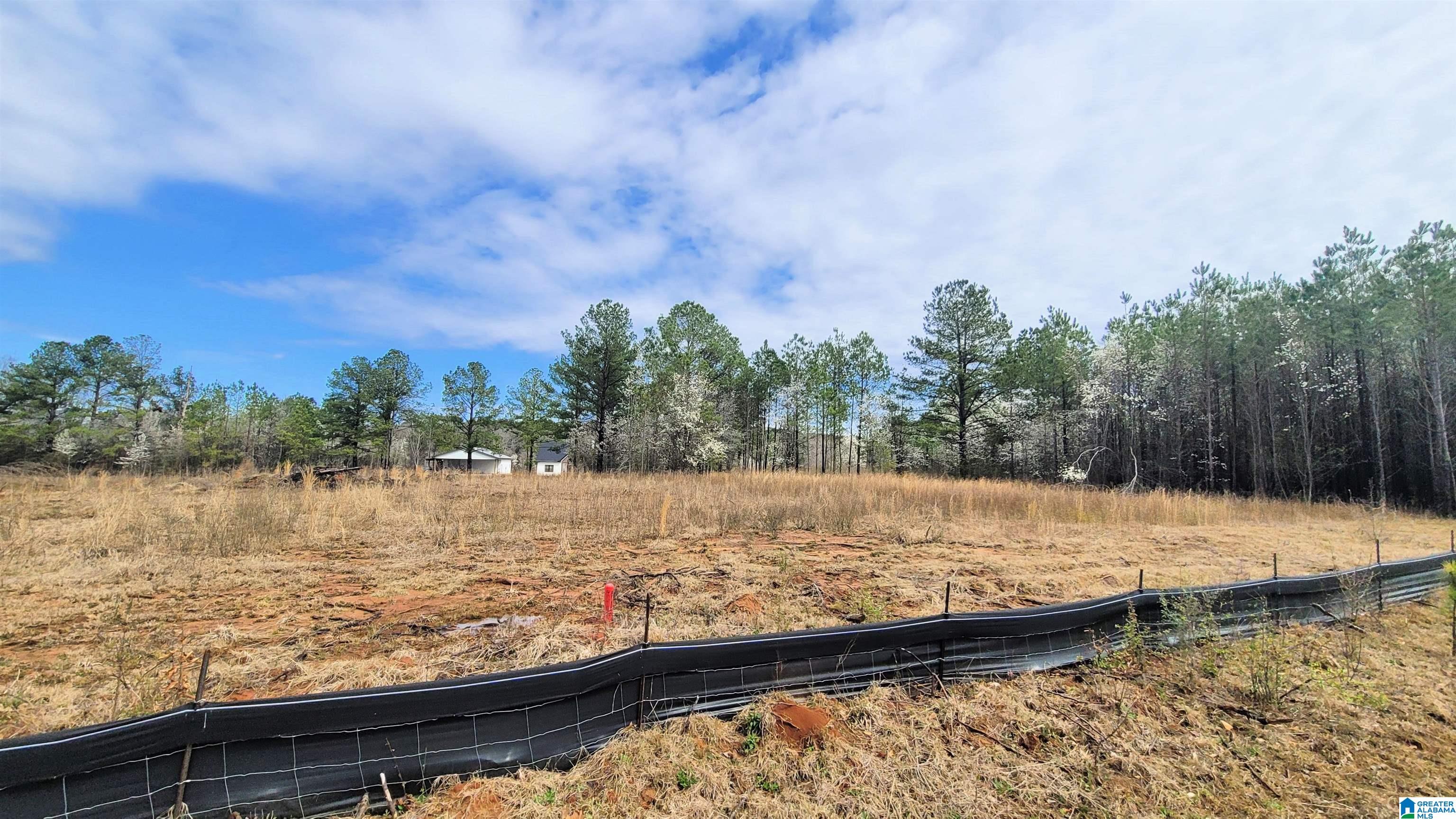 Homes for sale in Harpersville, AL | 1035 Chancellors Ferry Loop, Harpersville, AL 35078 | MLS# 21421683