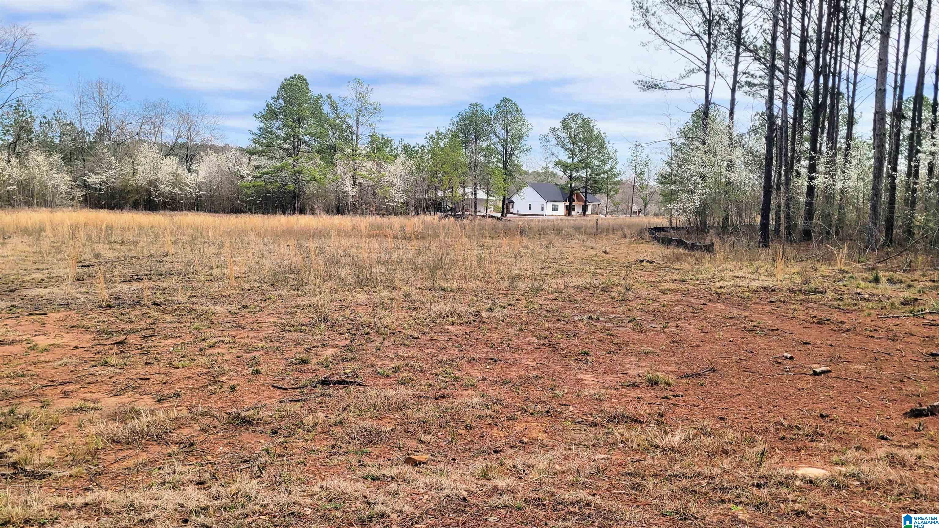 Homes for sale in Harpersville, AL | 1035 Chancellors Ferry Loop, Harpersville, AL 35078 | MLS# 21421683