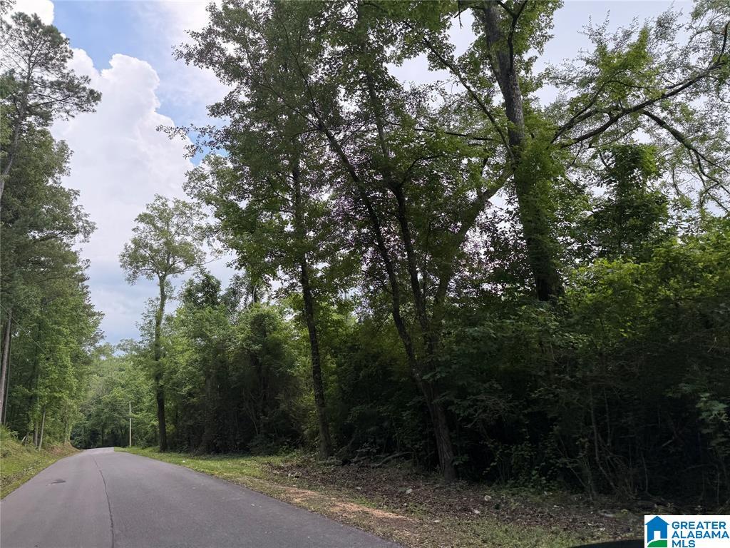 0 COUNTY ROAD 479