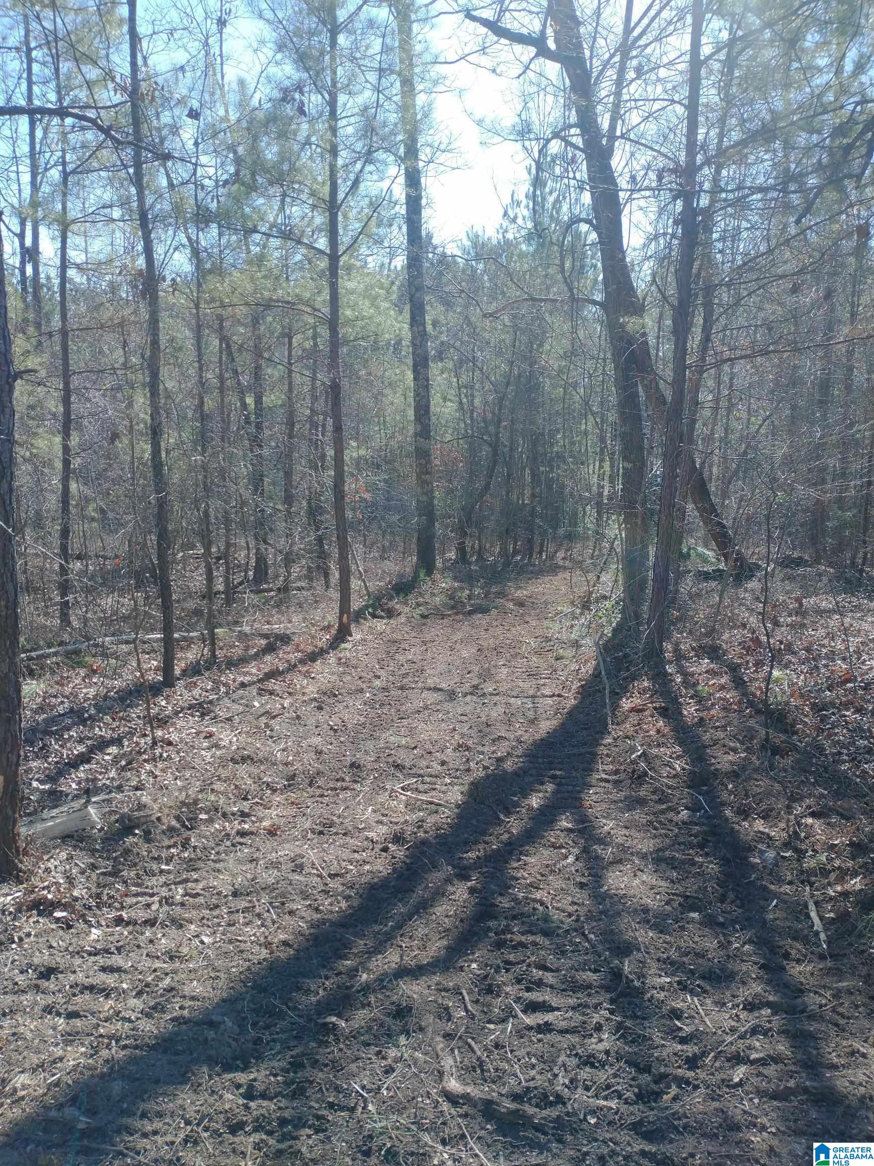 Homes for sale in Pell City, AL | 4 Sweet Apple Road, Pell City, AL 35128 | MLS# 21421801