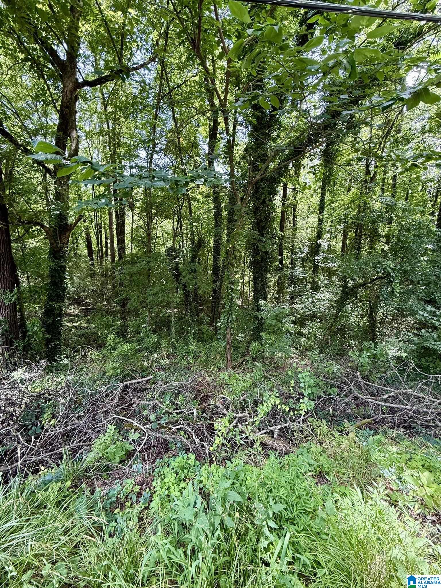 Homes for sale in Leeds, AL | 8215 Baker Avenue, Leeds, AL 35094 | MLS# 21421994