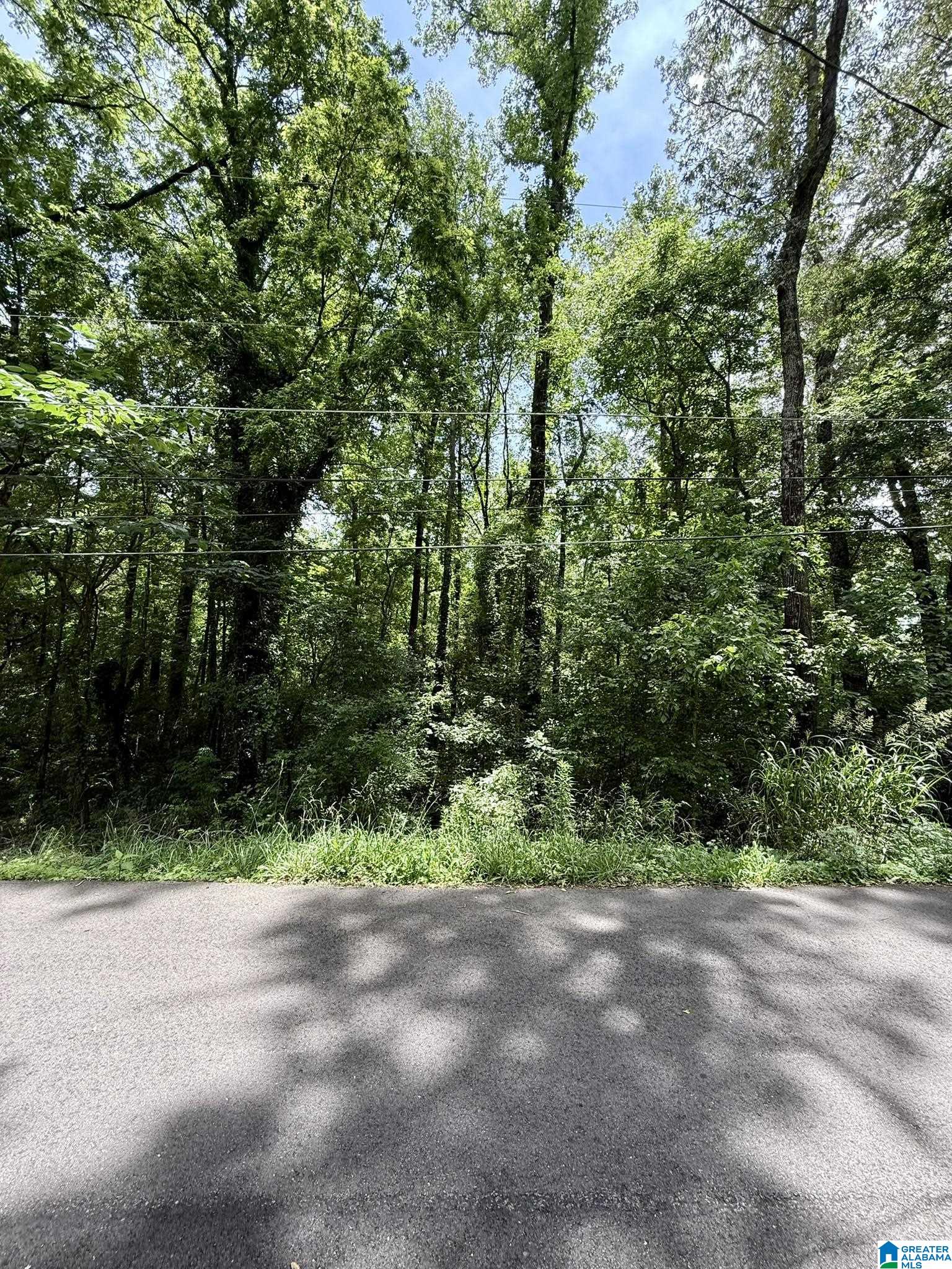 Homes for sale in Leeds, AL | 8215 Baker Avenue, Leeds, AL 35094 | MLS# 21421994