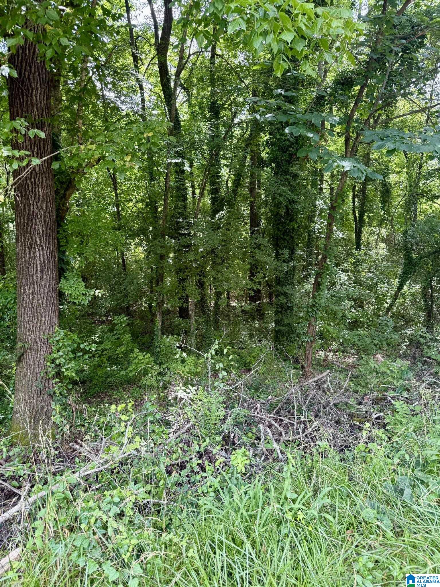 Homes for sale in Leeds, AL | 8215 Baker Avenue, Leeds, AL 35094 | MLS# 21421994