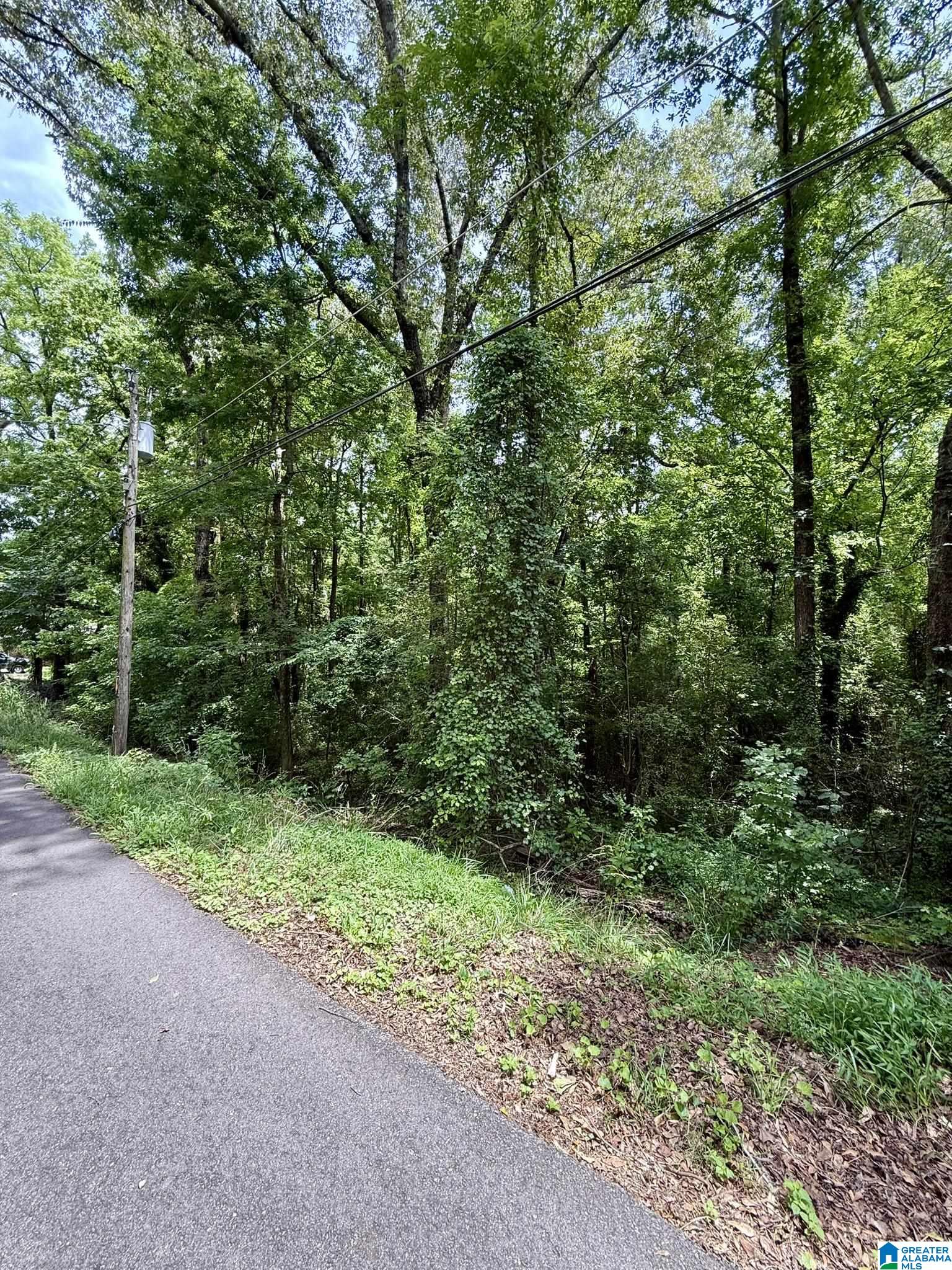 Homes for sale in Leeds, AL | 8215 Baker Avenue, Leeds, AL 35094 | MLS# 21421994