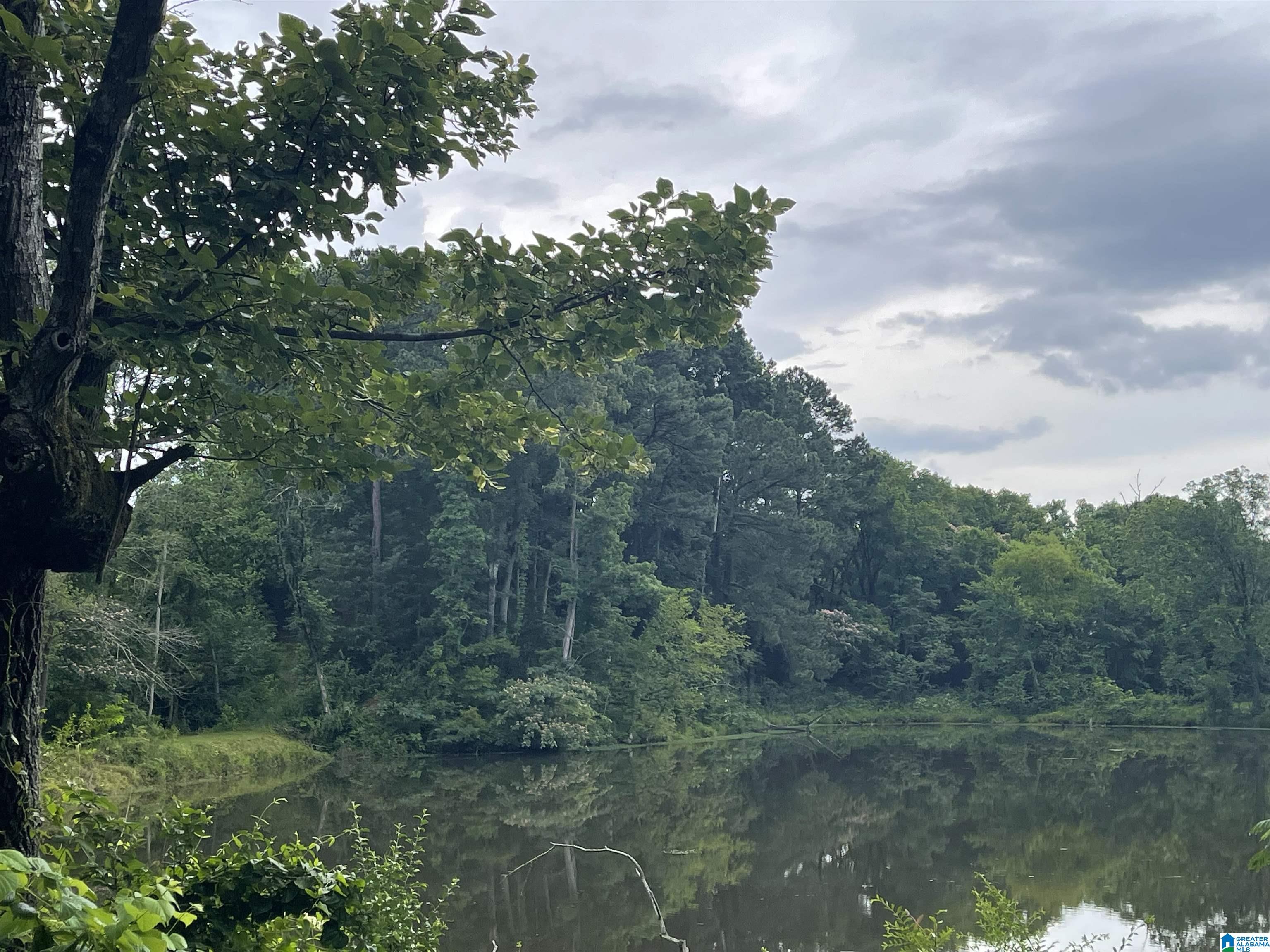 Homes for sale in Leeds, AL | 151 Ash Street, Leeds, AL 35094 | MLS# 21422122