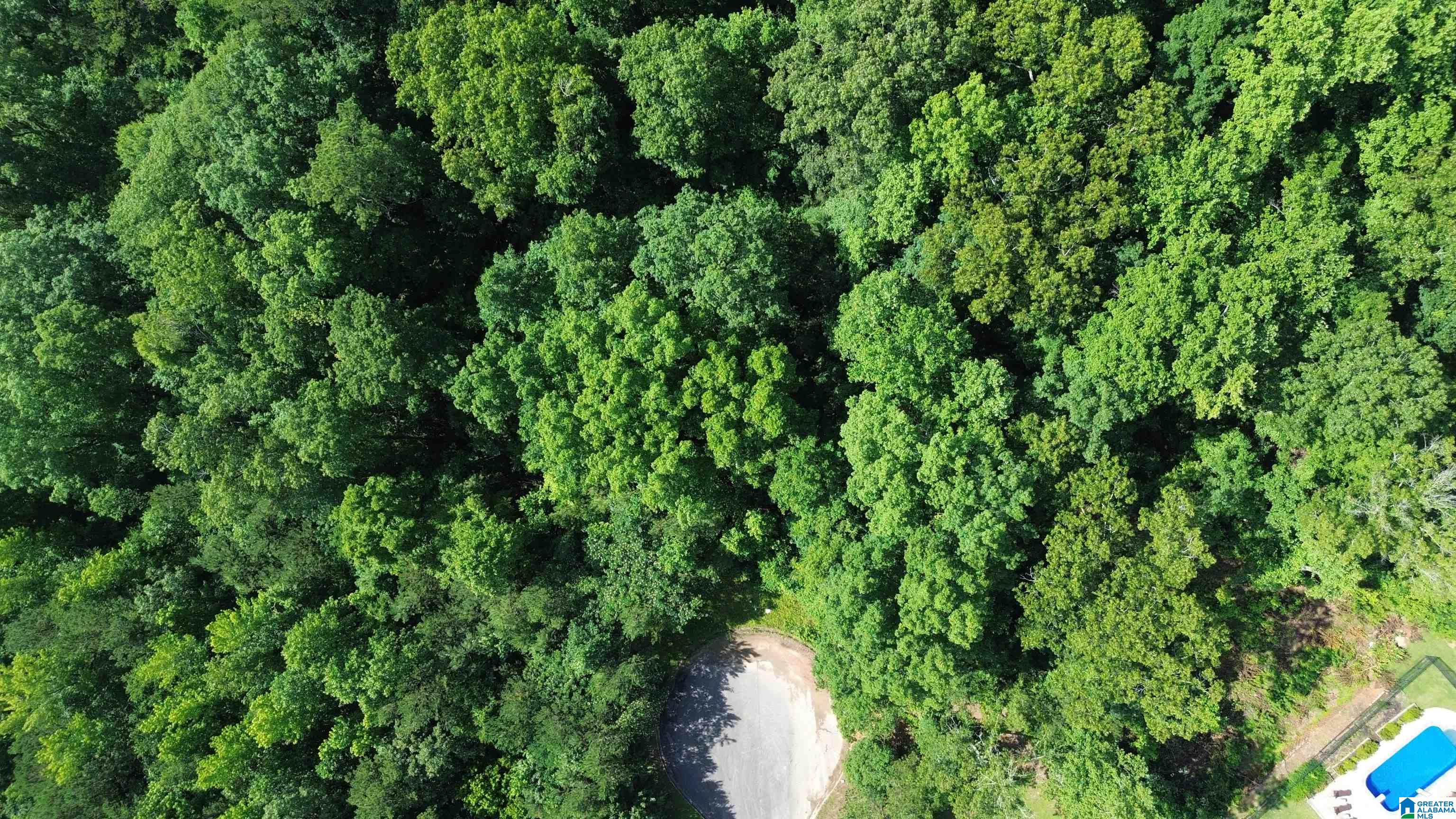 Homes for sale in Trussville, AL | 5601 Barclay Circle, Trussville, AL 35173 | MLS# 21422203