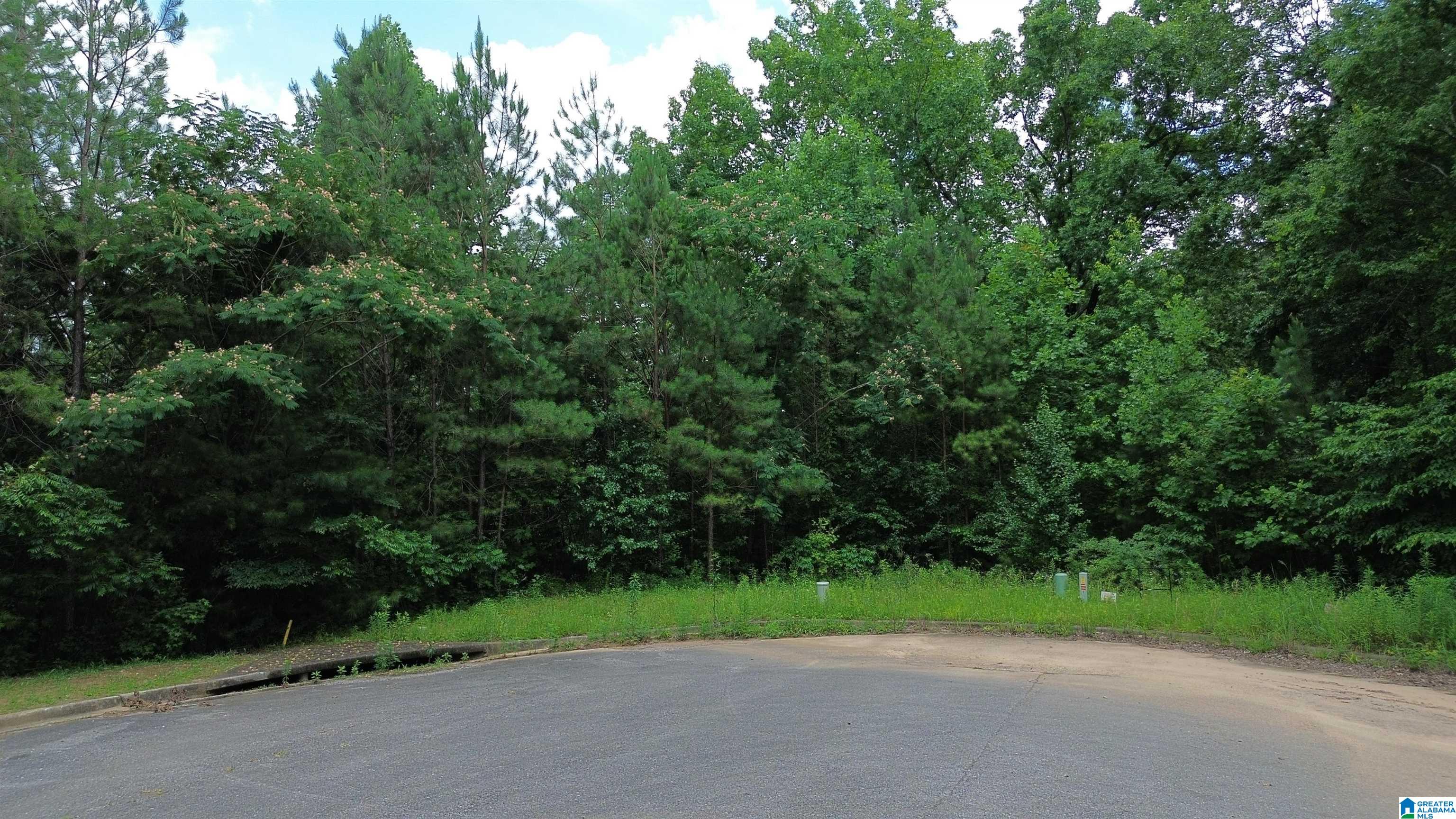 Homes for sale in Trussville, AL | 5601 Barclay Circle, Trussville, AL 35173 | MLS# 21422203