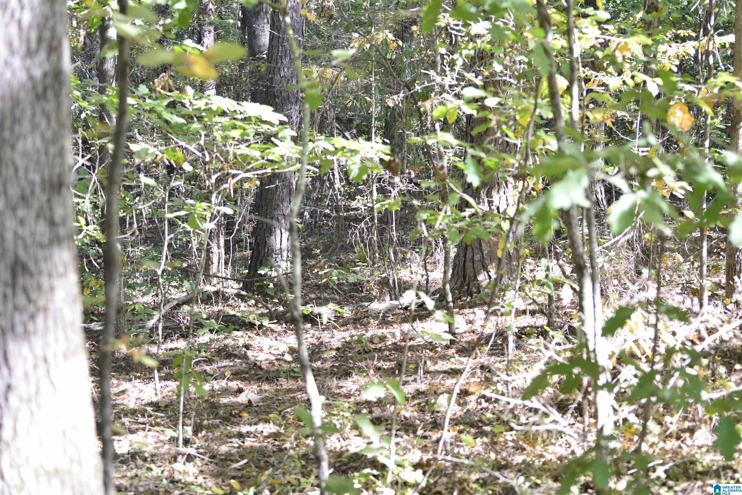 Homes for sale in Lakeview, AL | Lot 24 Gladys Dr, Lakeview, AL 35111 | MLS# 21422329