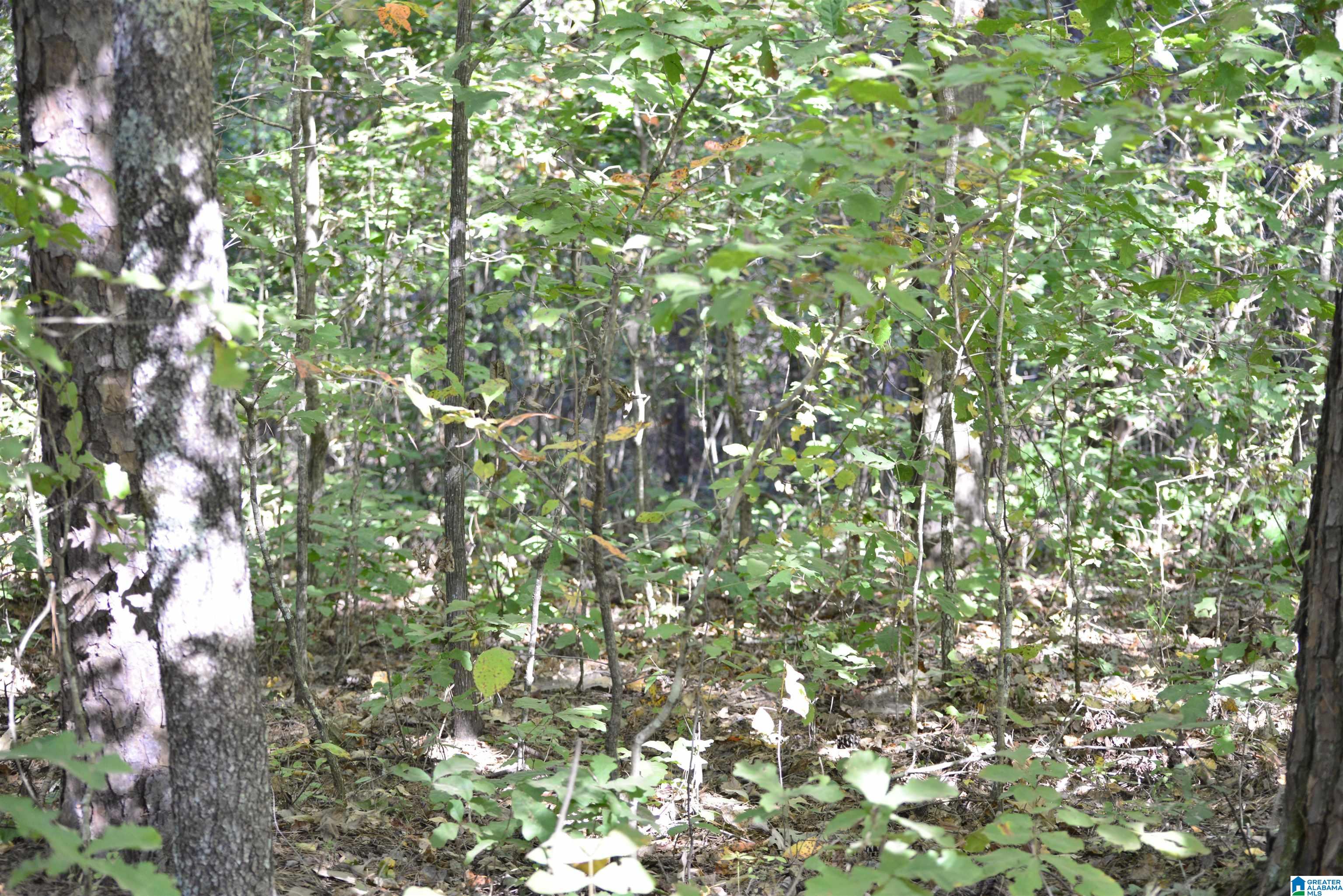 Homes for sale in Lakeview, AL | Lot 24 Gladys Dr, Lakeview, AL 35111 | MLS# 21422329