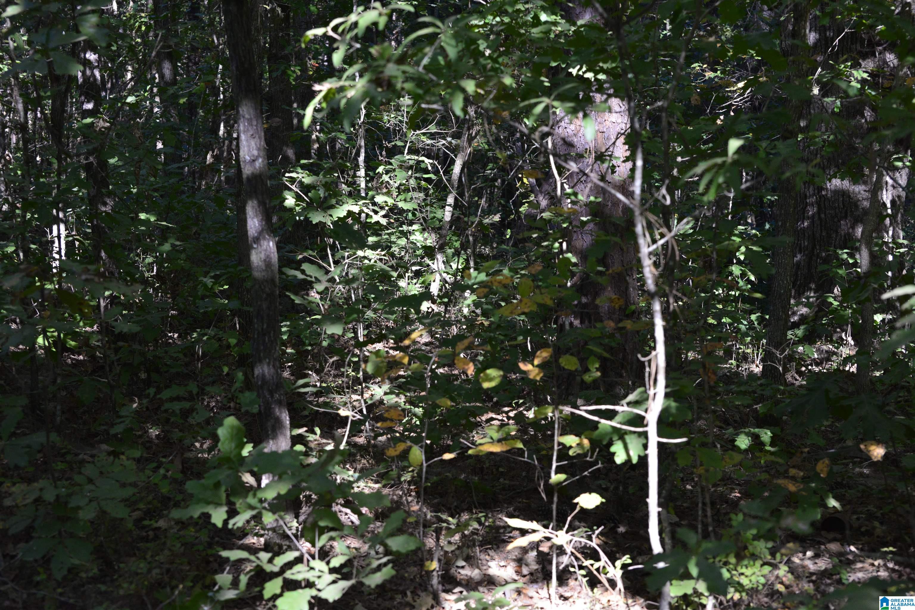 Homes for sale in Lakeview, AL | Lot 24 Gladys Dr, Lakeview, AL 35111 | MLS# 21422329