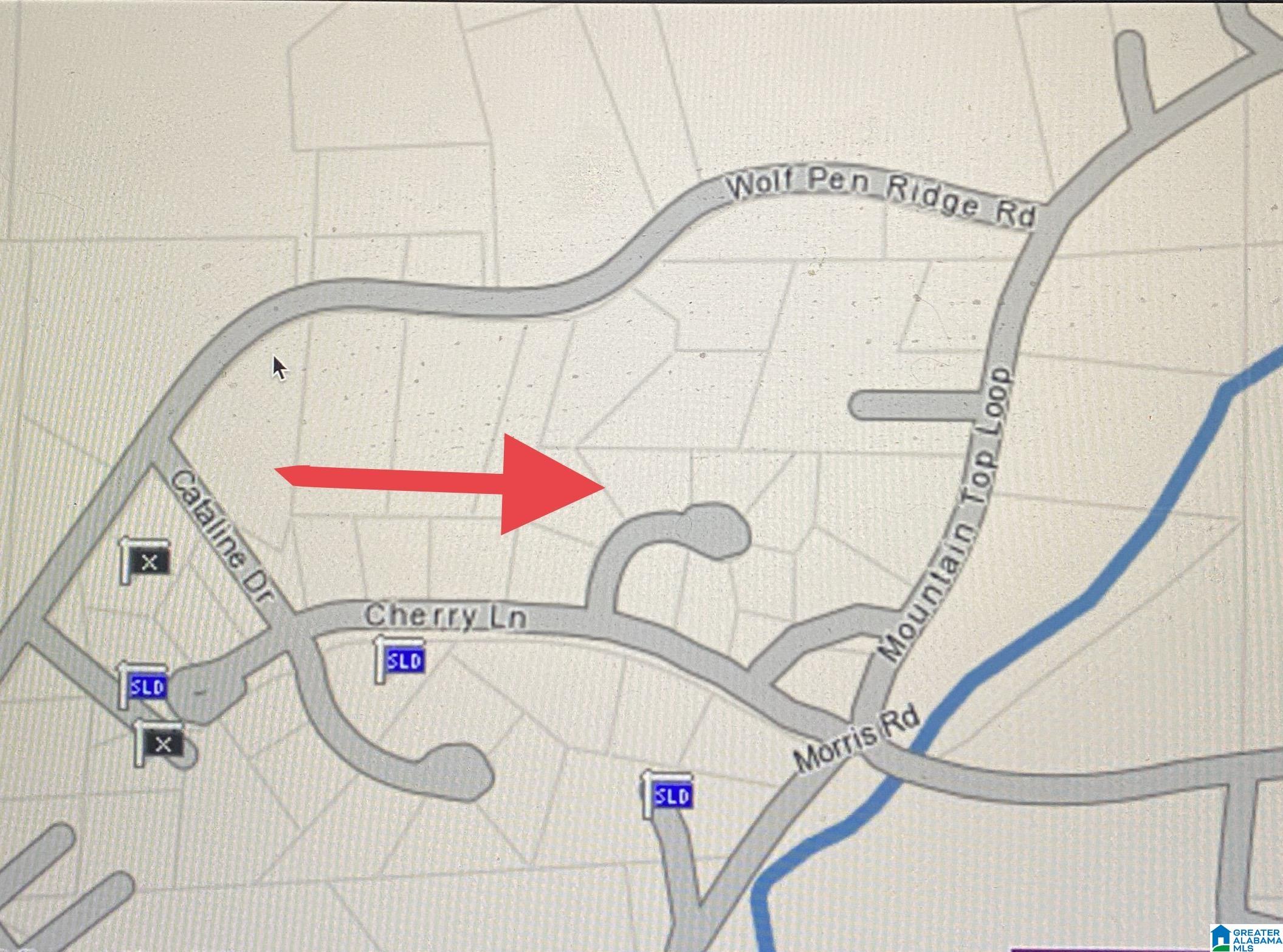 Homes for sale in Pell City, AL | 225 Freedom Way, Pell City, AL 35128 | MLS# 21422362