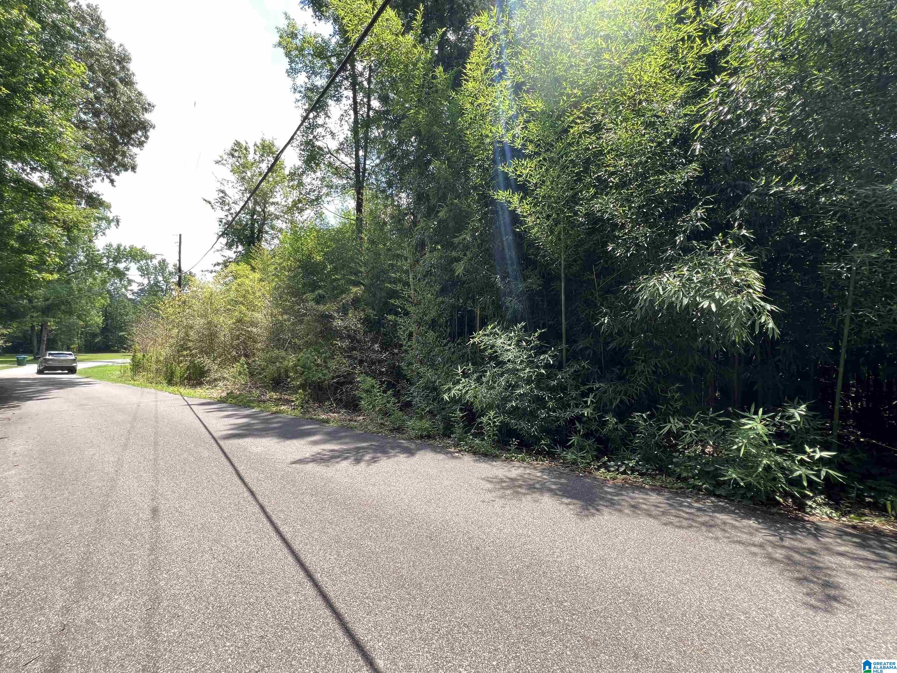 Homes for sale in Montevallo, AL | 103 Calmont Woods Dr, Montevallo, AL 35115 | MLS# 21422427