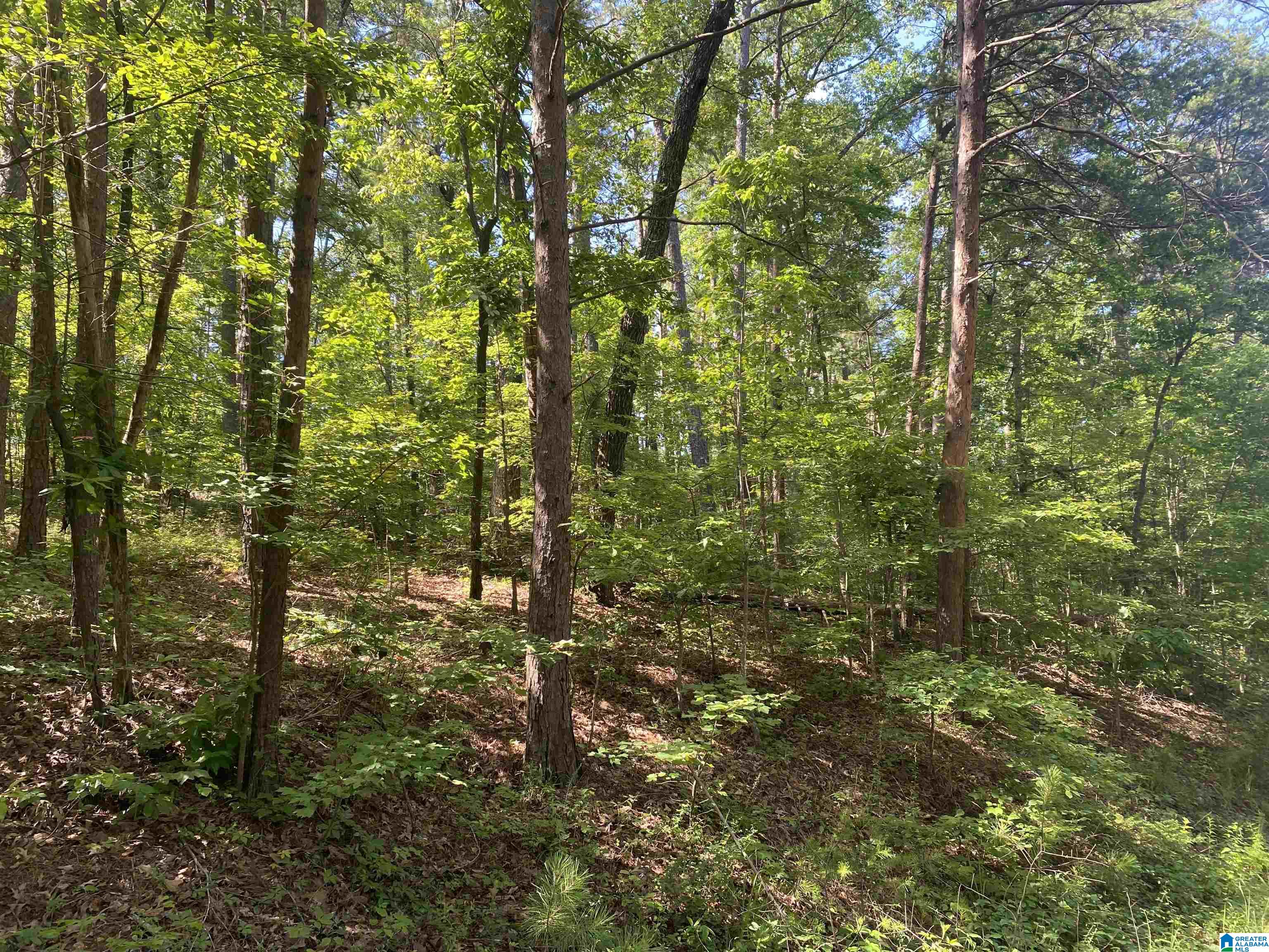 Homes for sale in Brookwood, AL | South Shore Dr, Brookwood, AL 35444 | MLS# 21422431