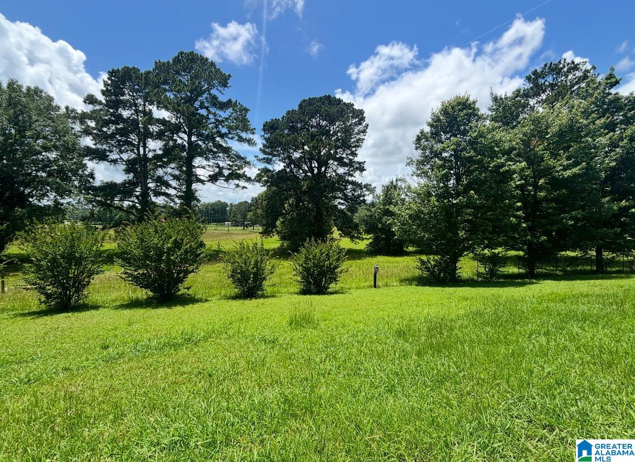 Homes for sale in Wilsonville, AL | 76 Storey Book Trail, Wilsonville, AL 35186 | MLS# 21422437