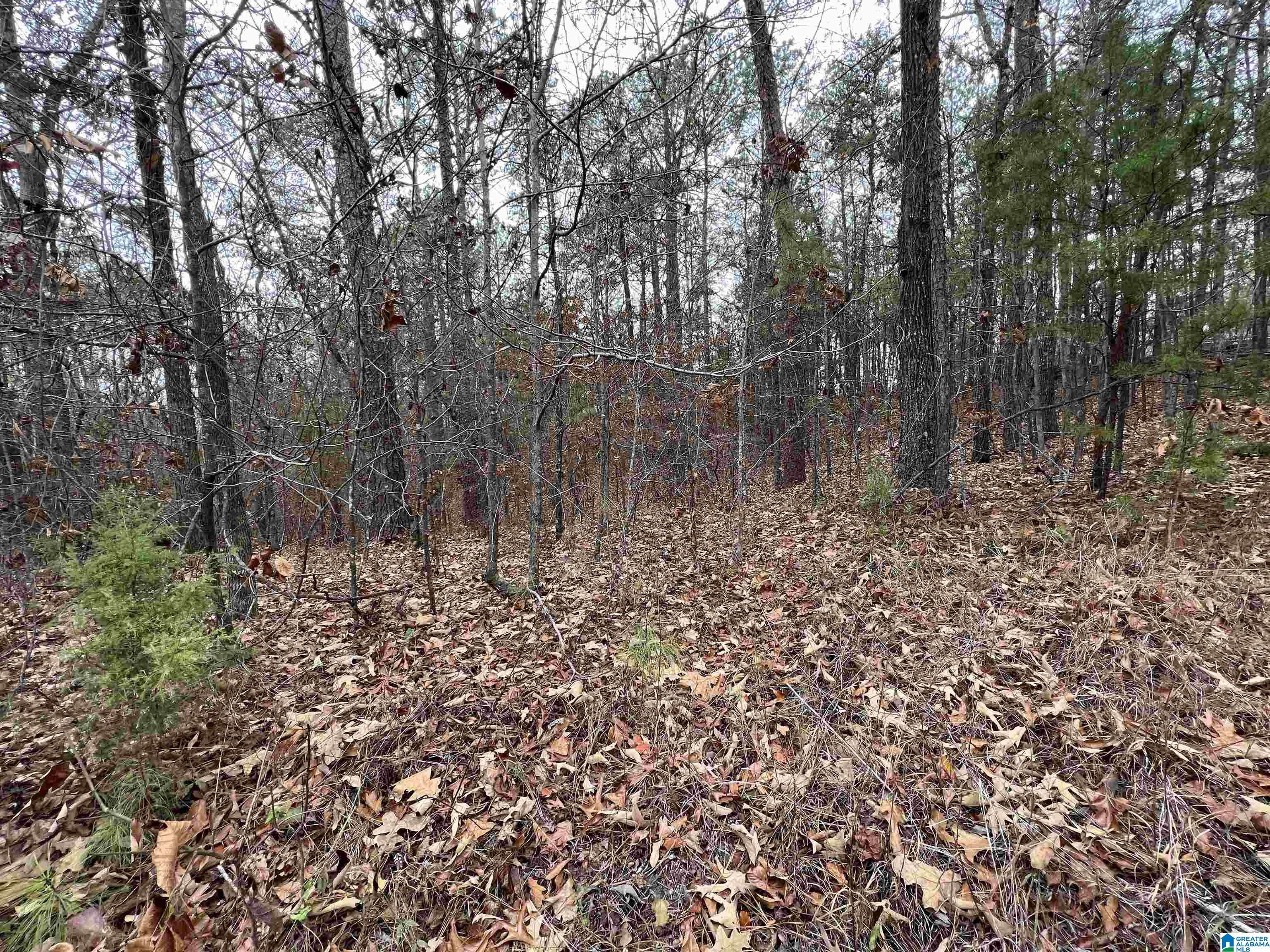 Homes for sale in Mccalla, AL | 0 Mountain View Lane, Mccalla, AL 35111 | MLS# 21422664