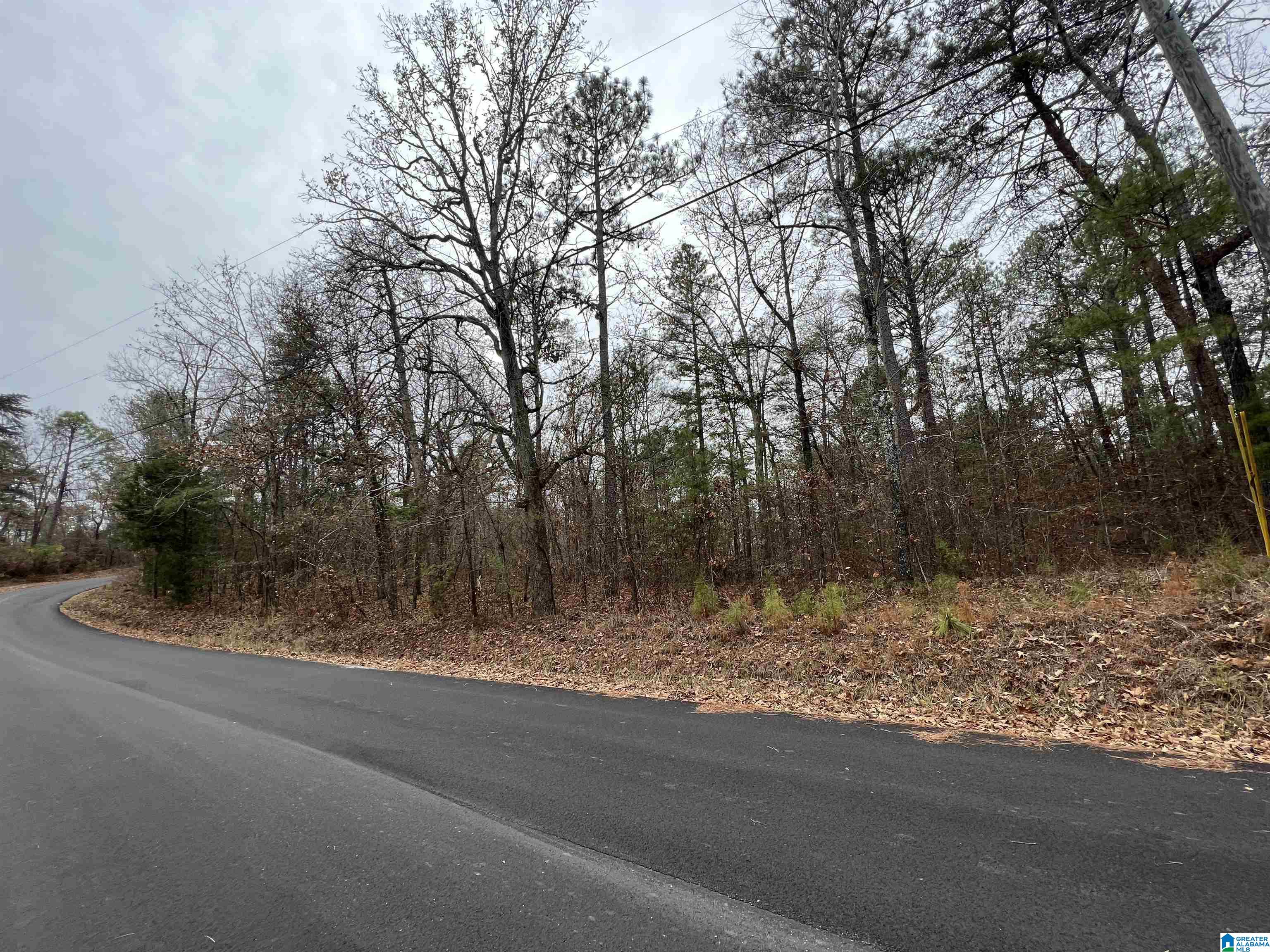 Homes for sale in Mccalla, AL | 0 Mountain View Lane, Mccalla, AL 35111 | MLS# 21422664