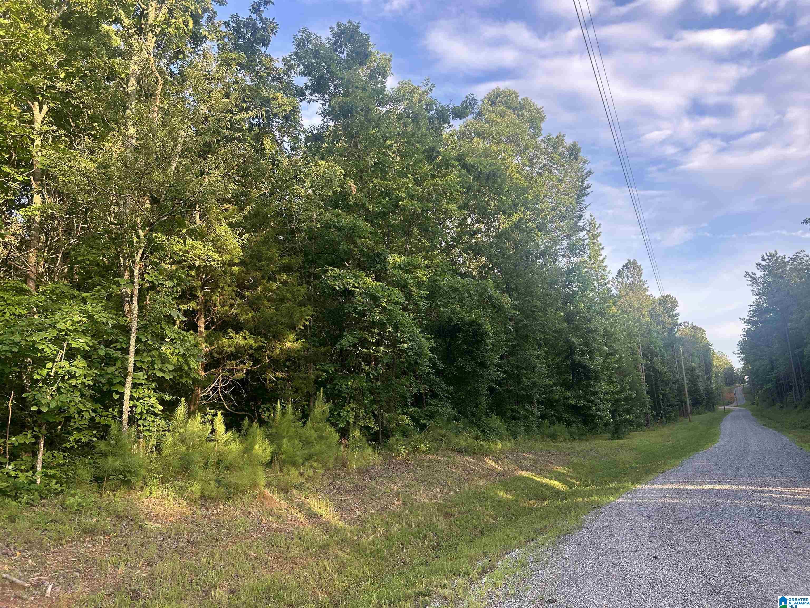 Homes for sale in Munford, AL | 0 Summerset Lane, Munford, AL 36268 | MLS# 21422702