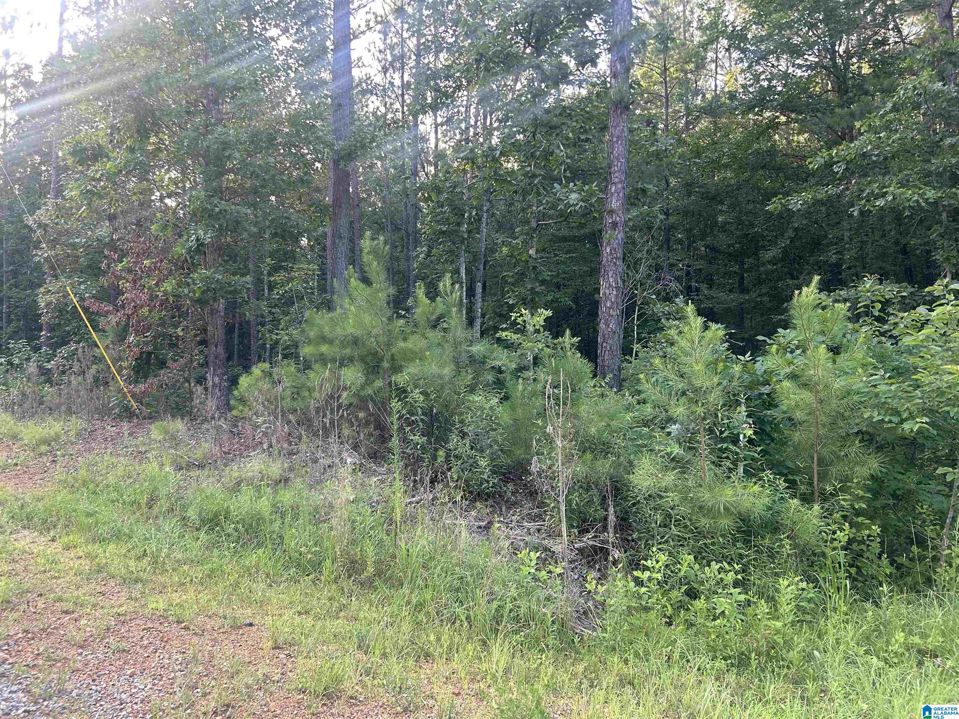 Homes for sale in Munford, AL | 0 Summerset Lane, Munford, AL 36268 | MLS# 21422702