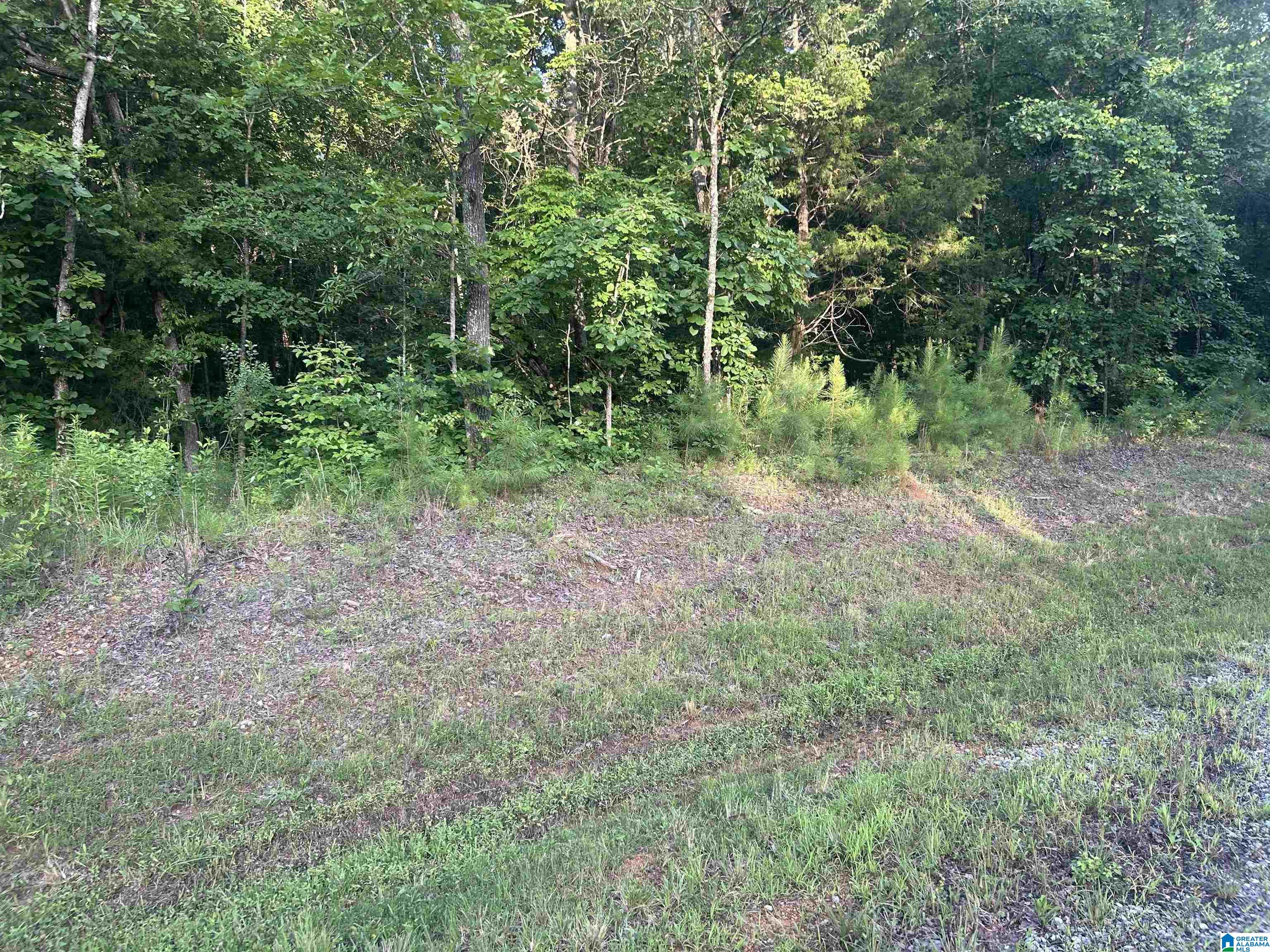 Homes for sale in Munford, AL | 0 Summerset Lane, Munford, AL 36268 | MLS# 21422702