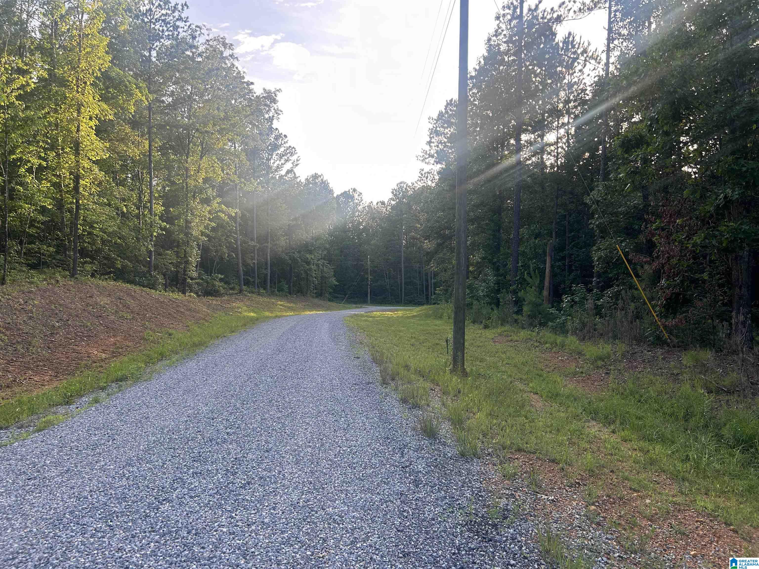 Homes for sale in Munford, AL | 0 Summerset Lane, Munford, AL 36268 | MLS# 21422702