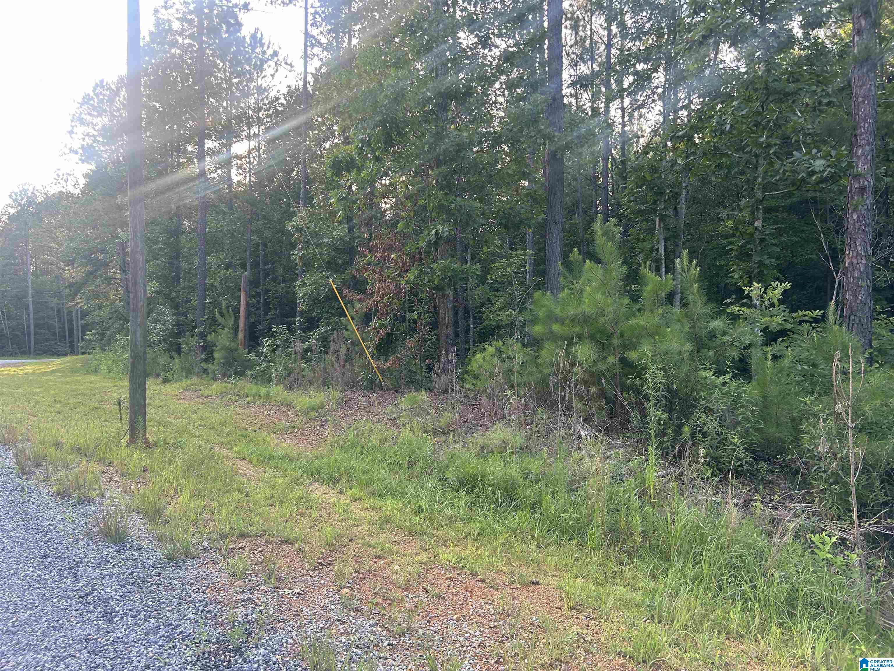 Homes for sale in Munford, AL | 0 Summerset Lane, Munford, AL 36268 | MLS# 21422702