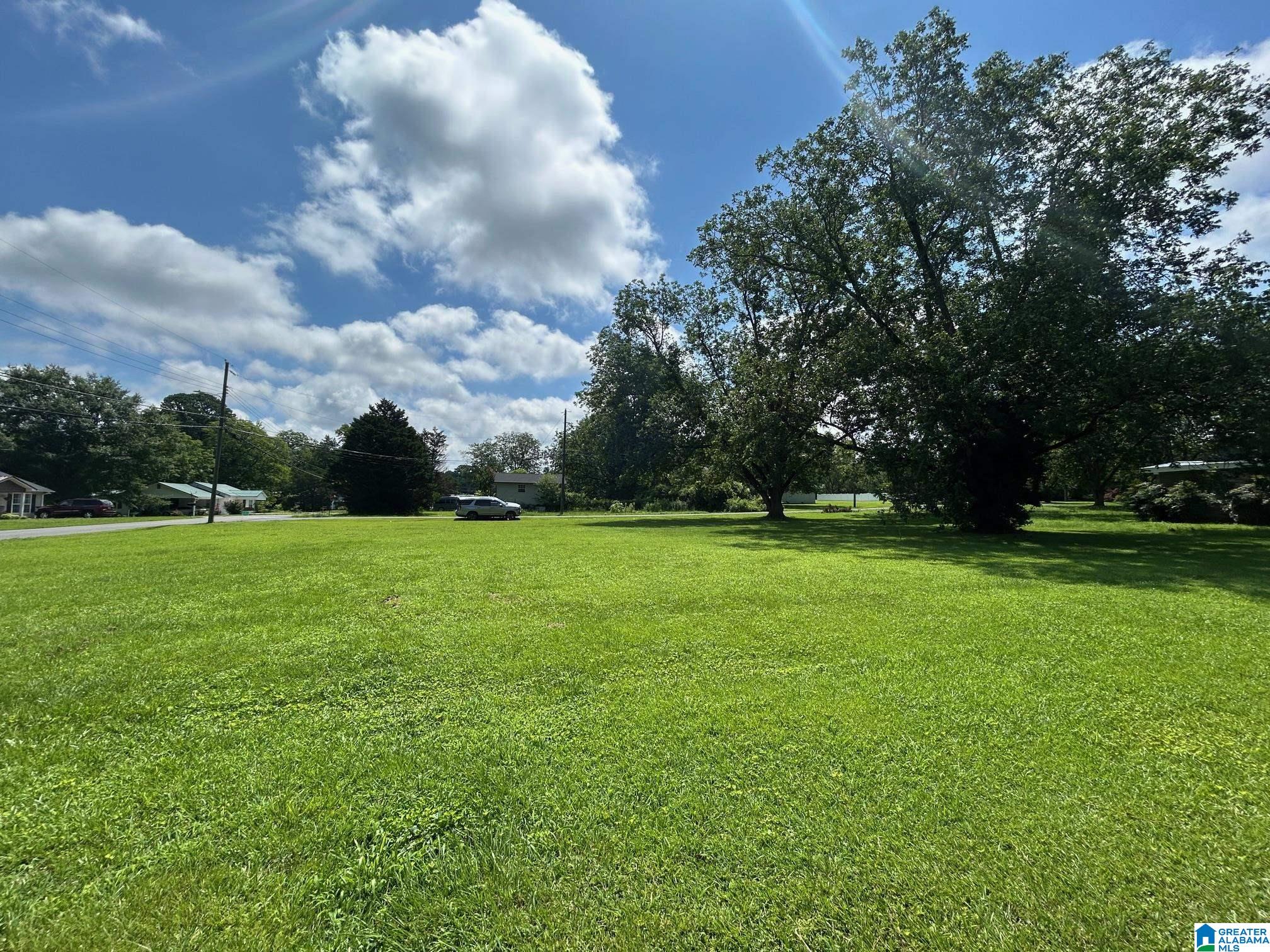 Homes for sale in Weaver, AL | 001 Main Street, Weaver, AL 36277 | MLS# 21422726