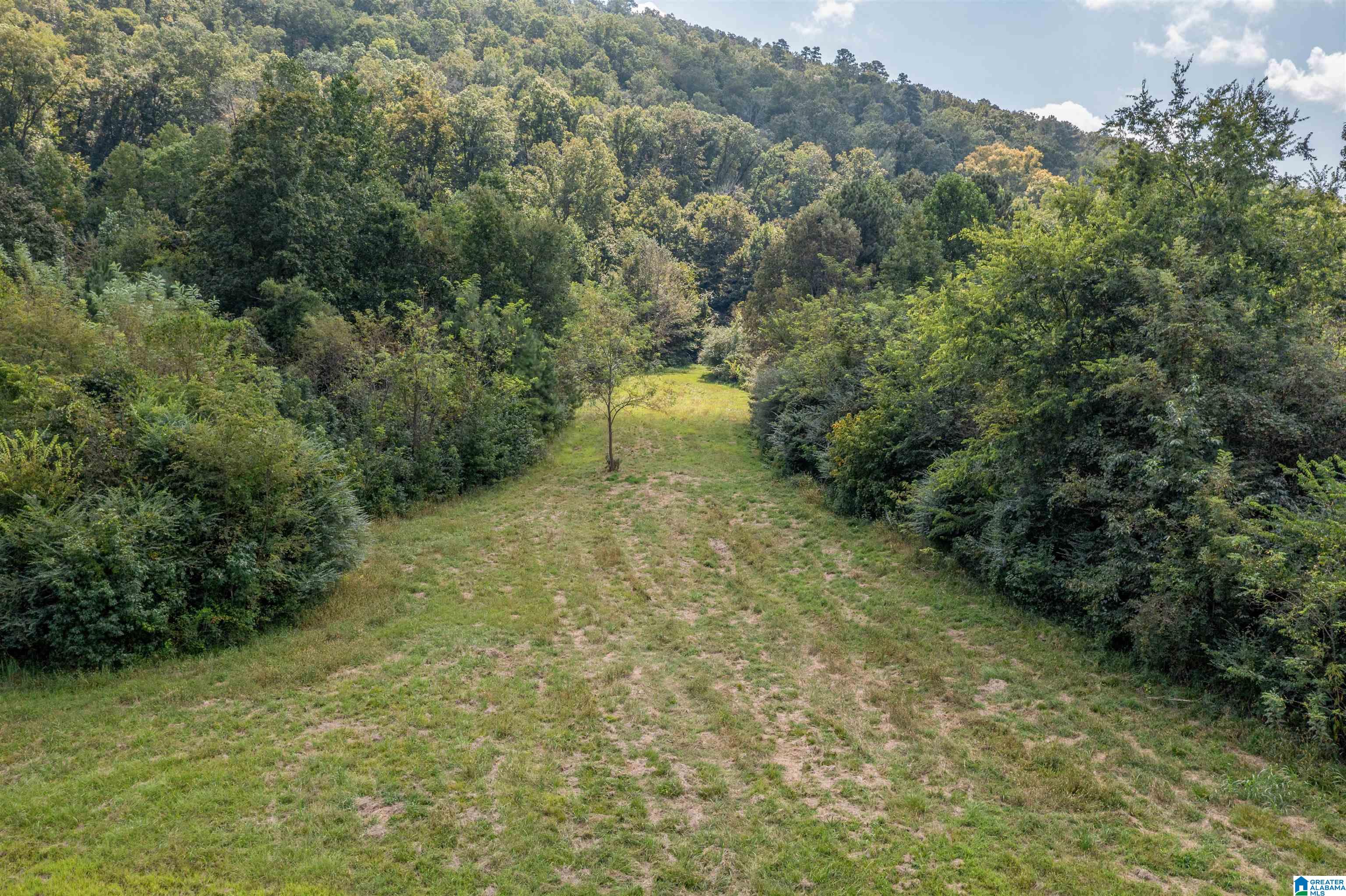 Homes for sale in Glencoe, AL | 100 Crimson Lake Dr, Glencoe, AL 35905 | MLS# 21422864