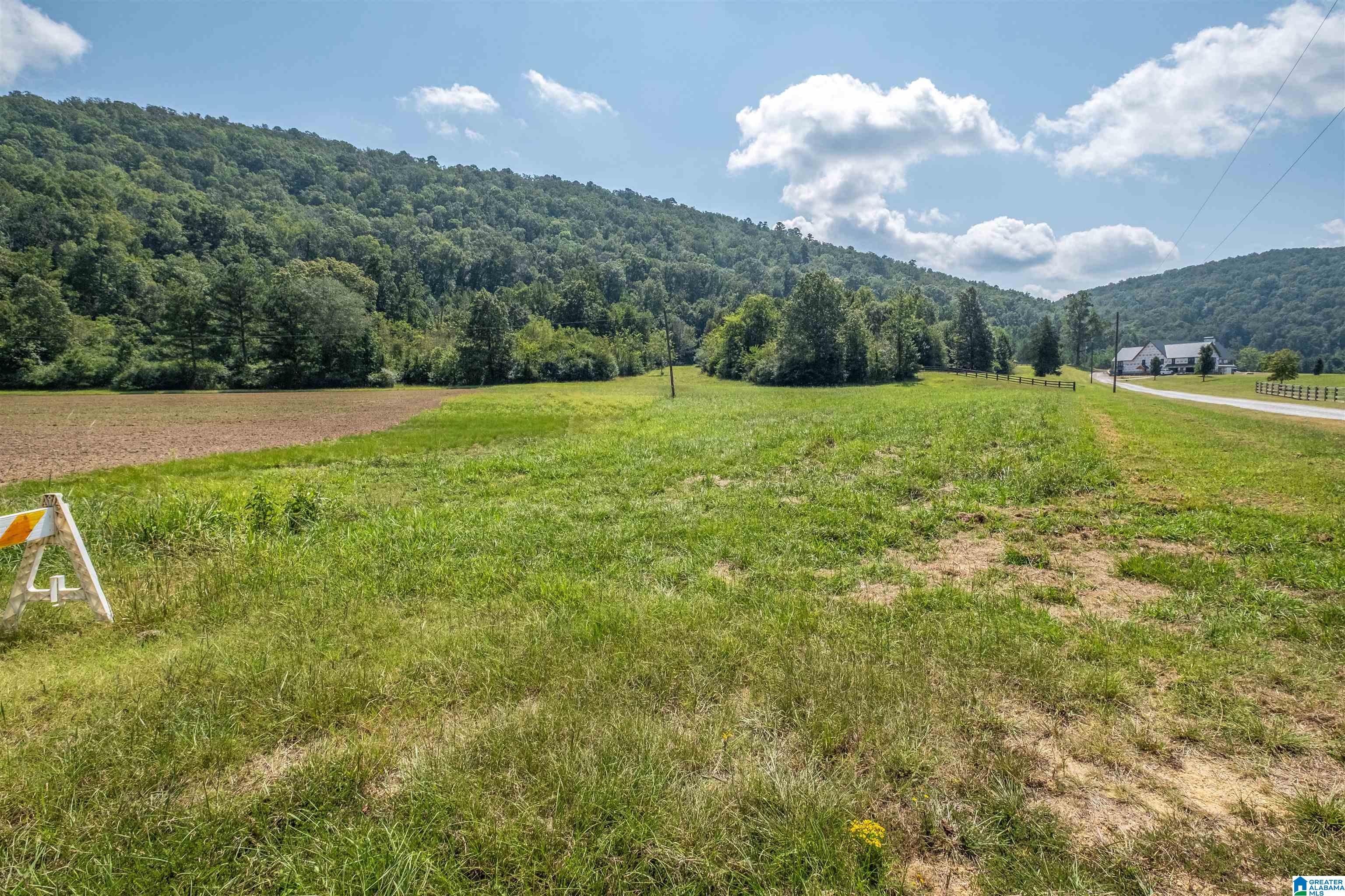 Homes for sale in Glencoe, AL | 100 Crimson Lake Dr, Glencoe, AL 35905 | MLS# 21422864