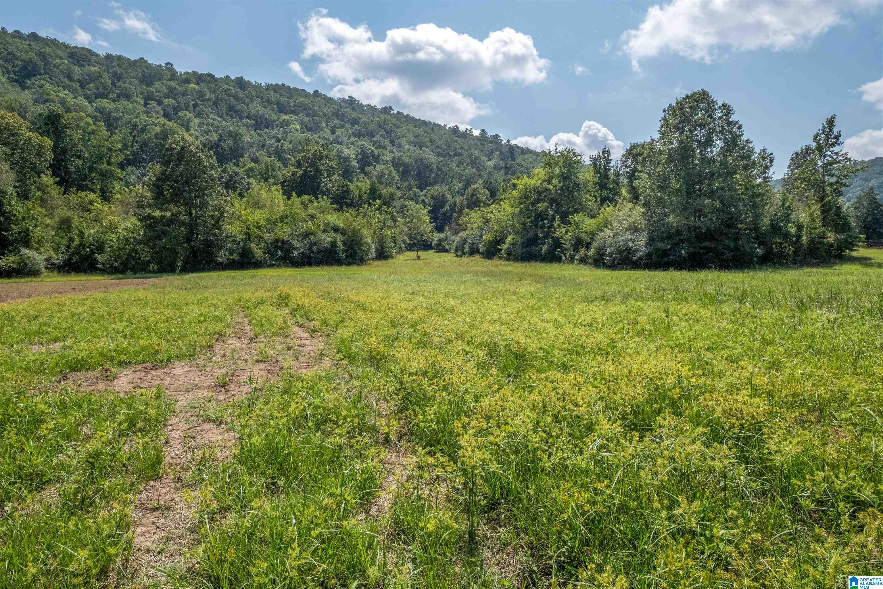 Homes for sale in Glencoe, AL | 100 Crimson Lake Dr, Glencoe, AL 35905 | MLS# 21422864