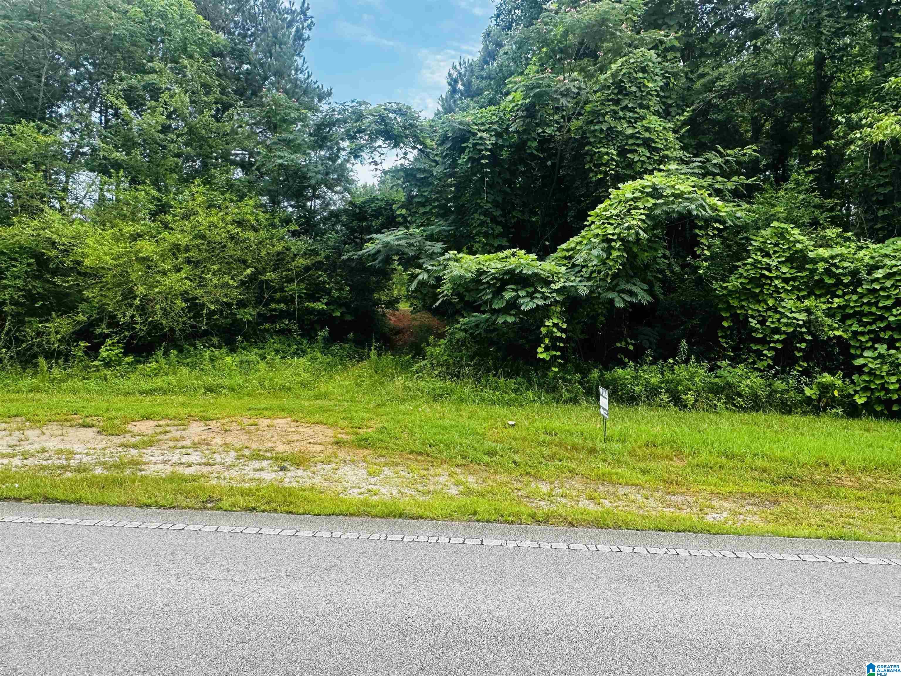 Homes for sale in Lineville, AL | 000 Hwy 48, Lineville, AL 36266 | MLS# 21422944