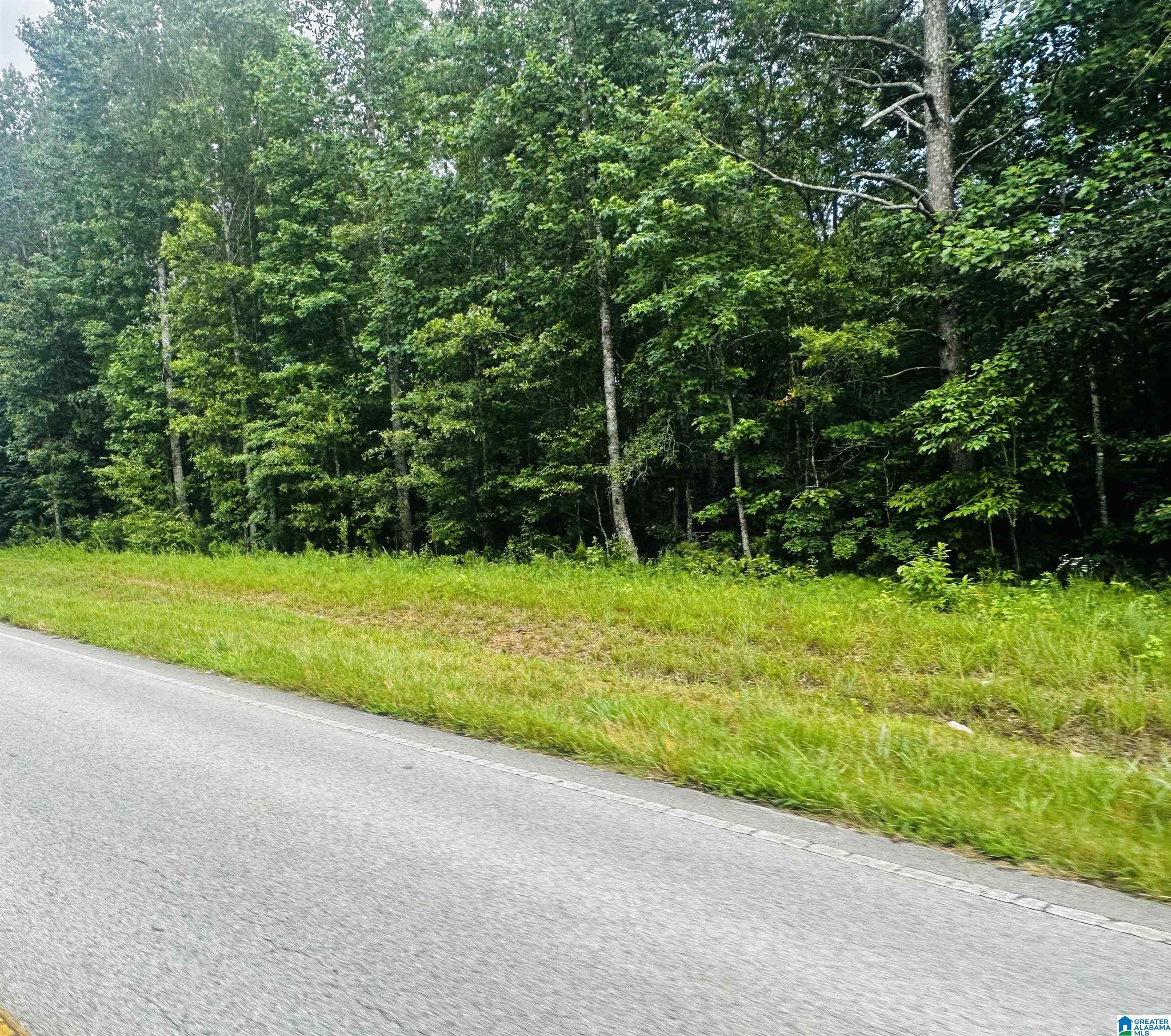 Homes for sale in Lineville, AL | 000 Hwy 48, Lineville, AL 36266 | MLS# 21422944