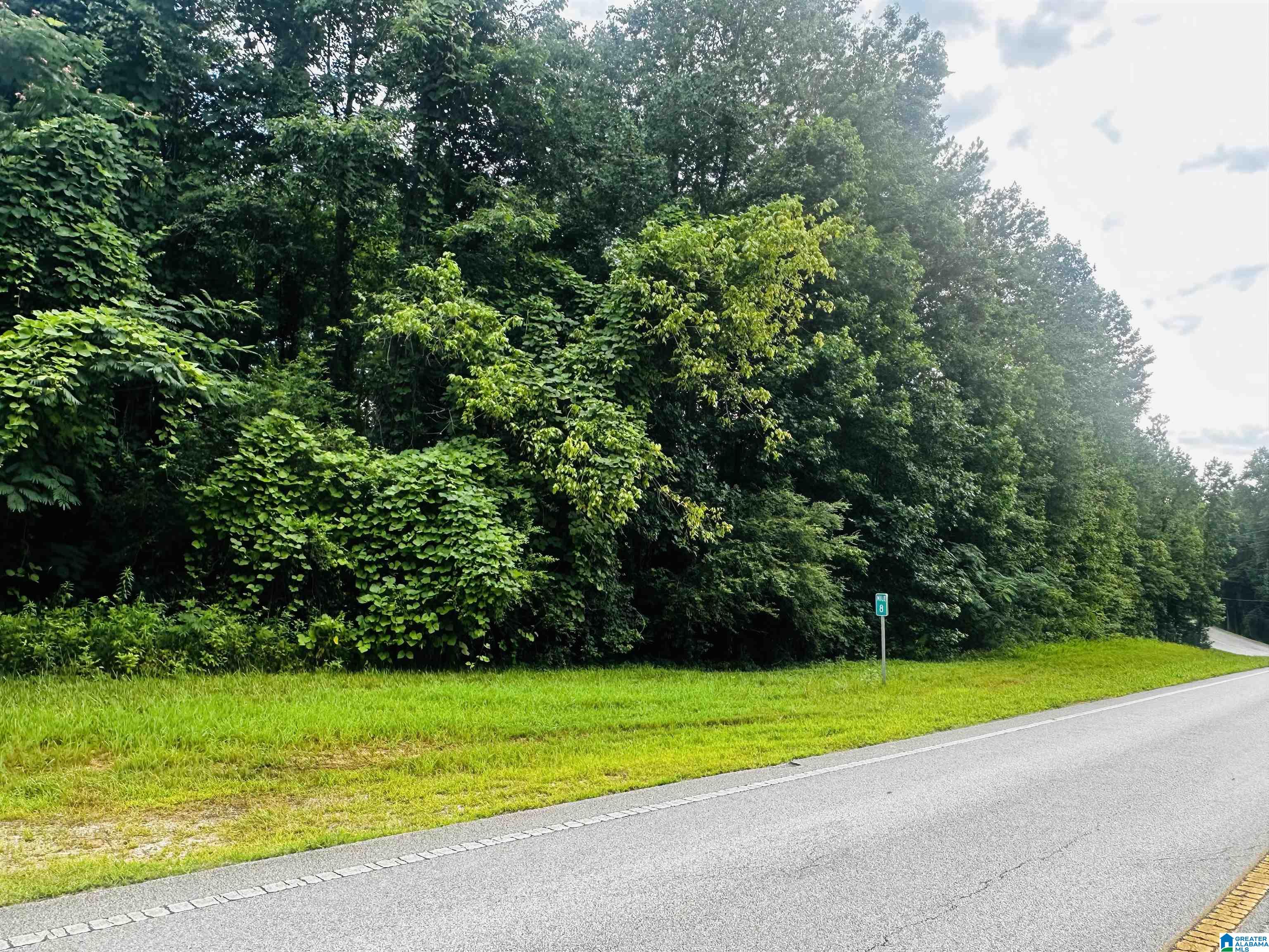 Homes for sale in Lineville, AL | 000 Hwy 48, Lineville, AL 36266 | MLS# 21422944