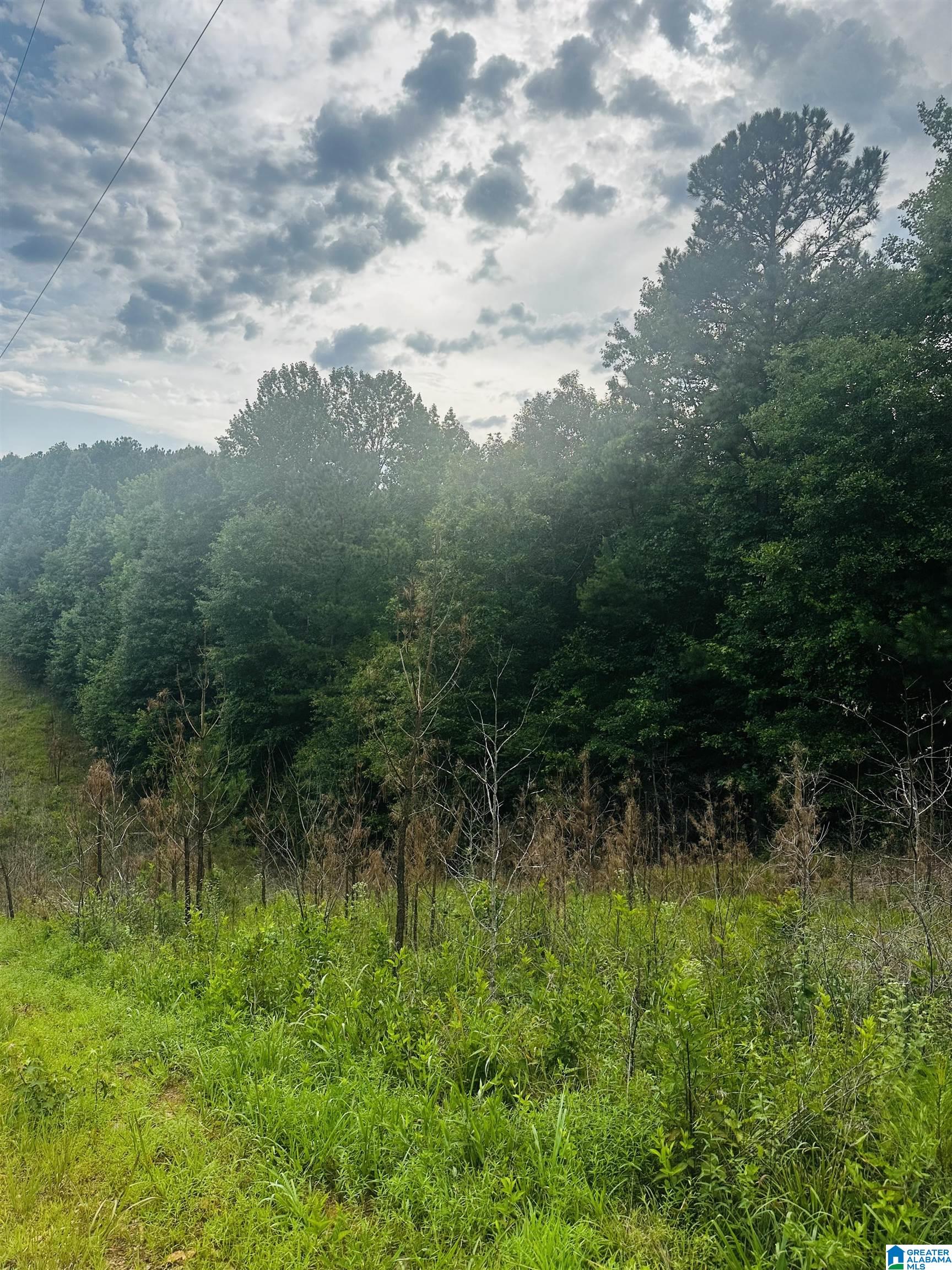 Homes for sale in Lineville, AL | 000 Hwy 48, Lineville, AL 36266 | MLS# 21422944