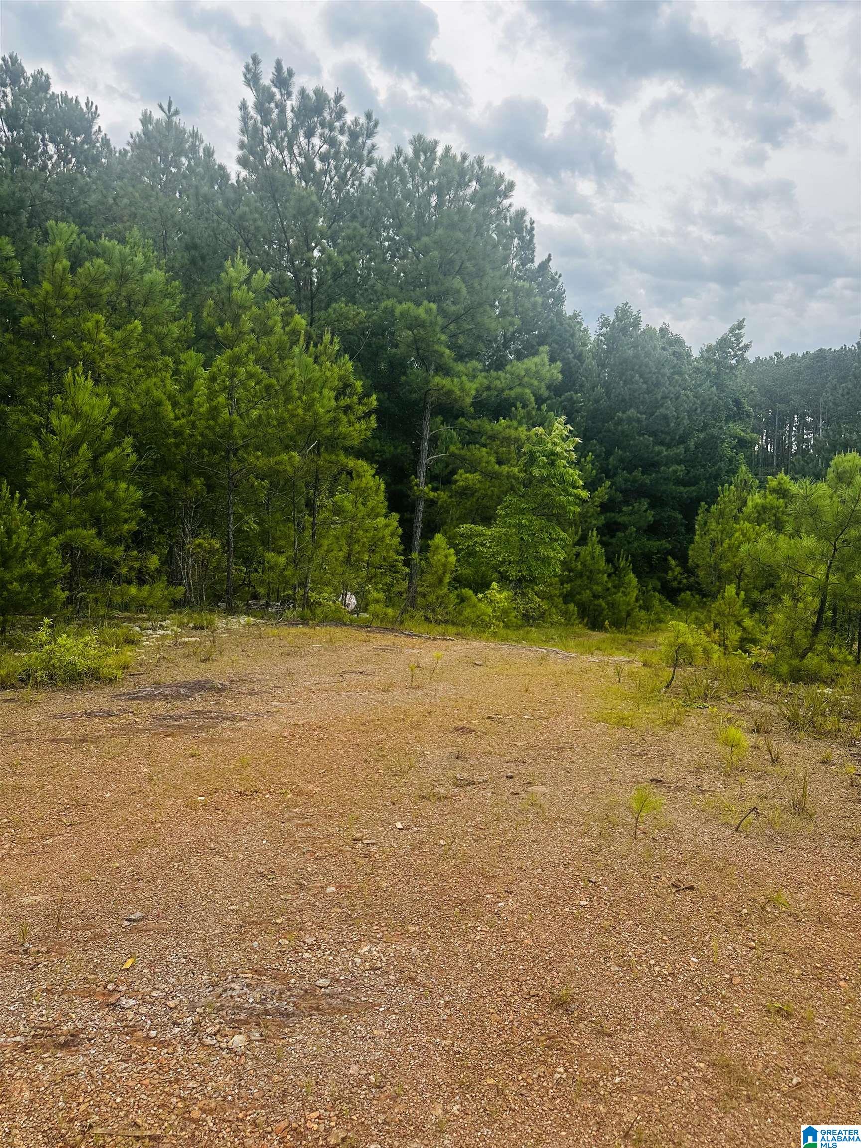 Homes for sale in Lineville, AL | 000 Hwy 48, Lineville, AL 36266 | MLS# 21422944