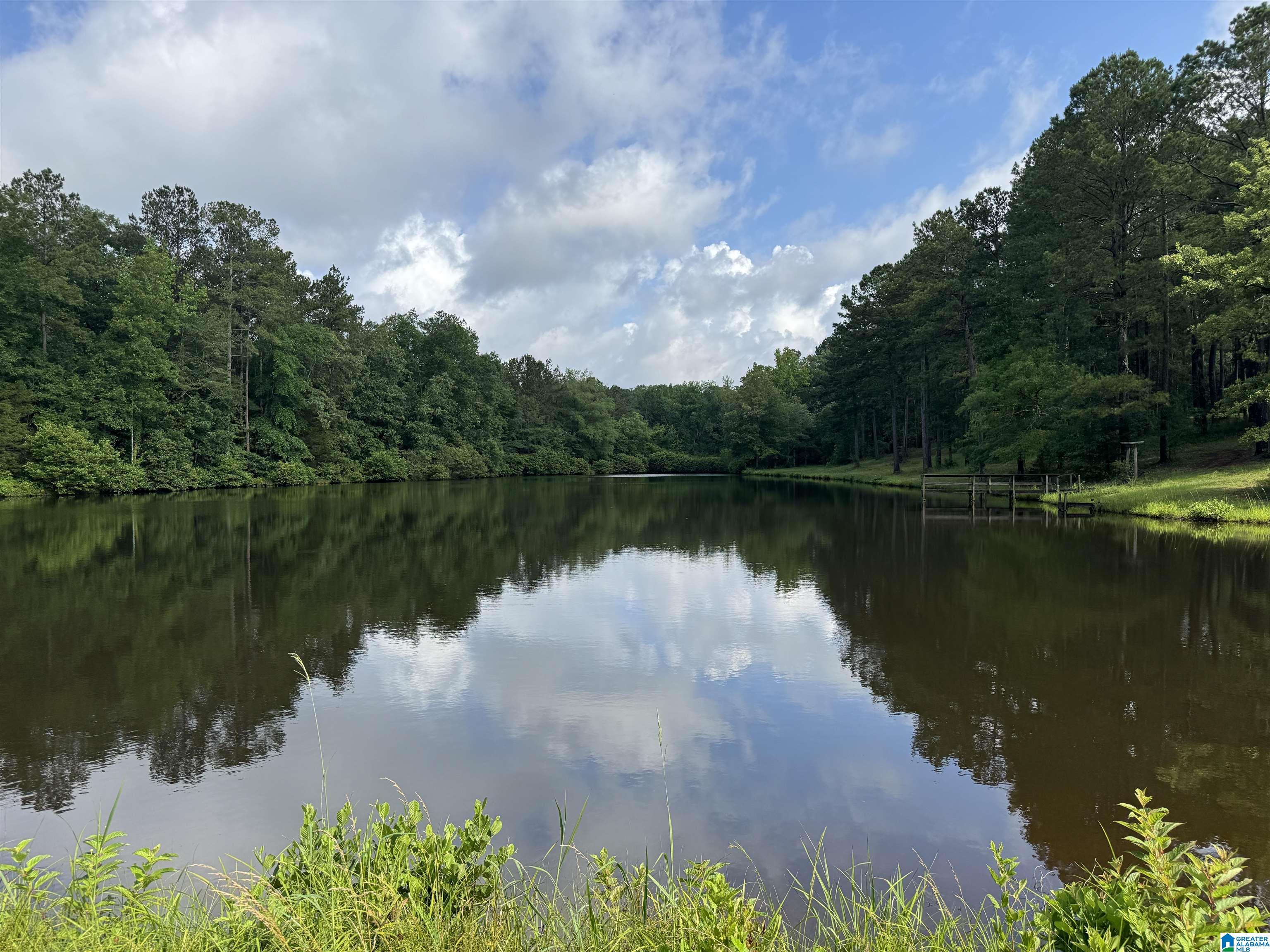 Homes for sale in Vincent, AL | 3588 Hwy 57, Vincent, AL 35178 | MLS# 21423022