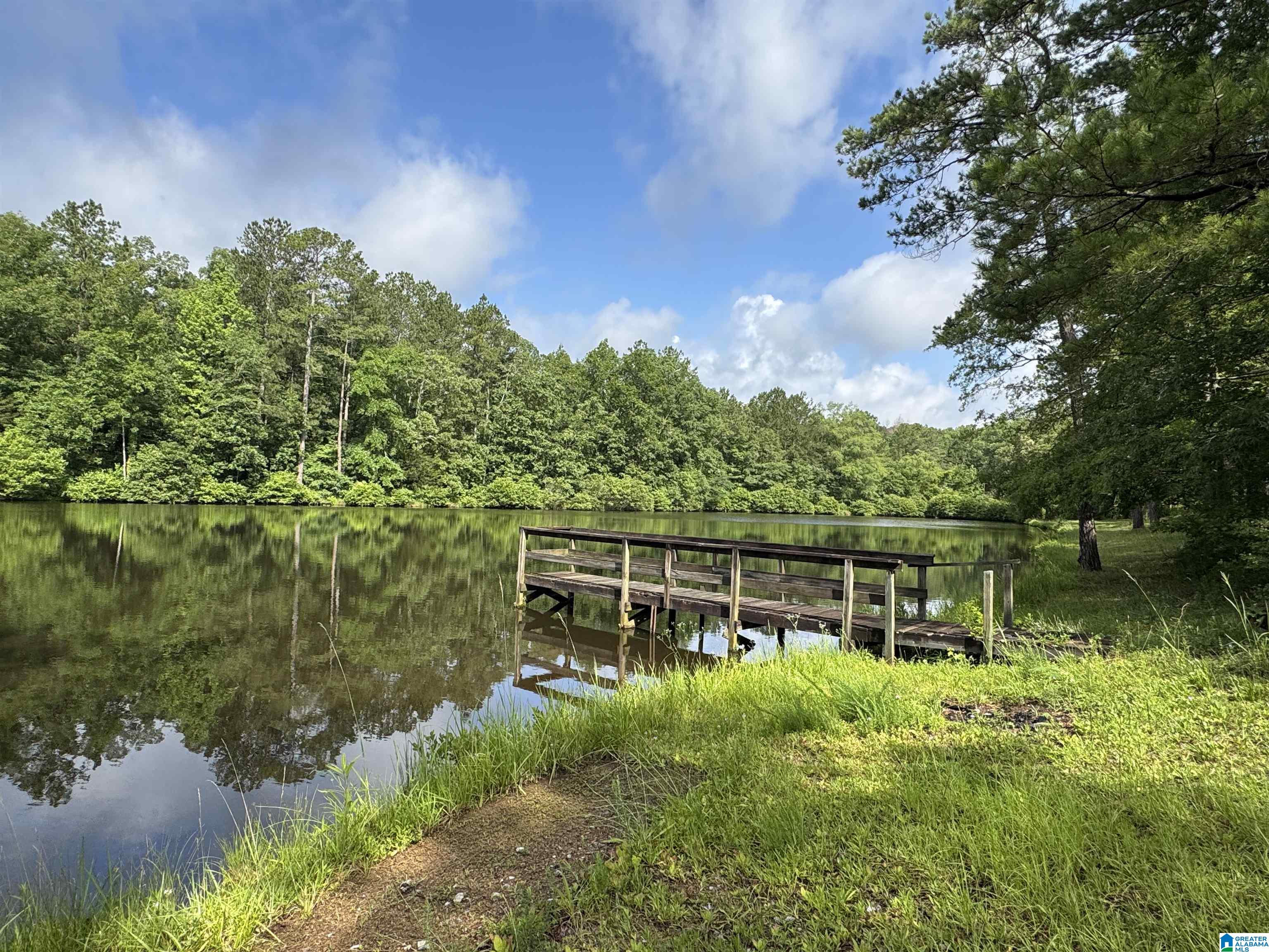 Homes for sale in Vincent, AL | 3588 Hwy 57, Vincent, AL 35178 | MLS# 21423022