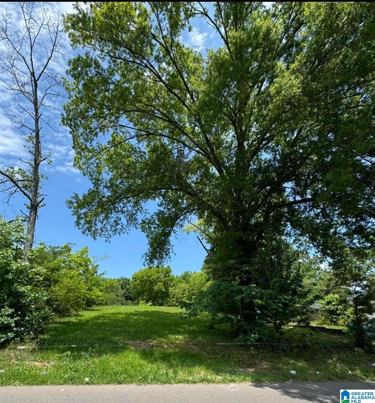 Homes for sale in Center Point, AL | 116 21st Avenue Ne, Center Point, AL 35215 | MLS# 21423510