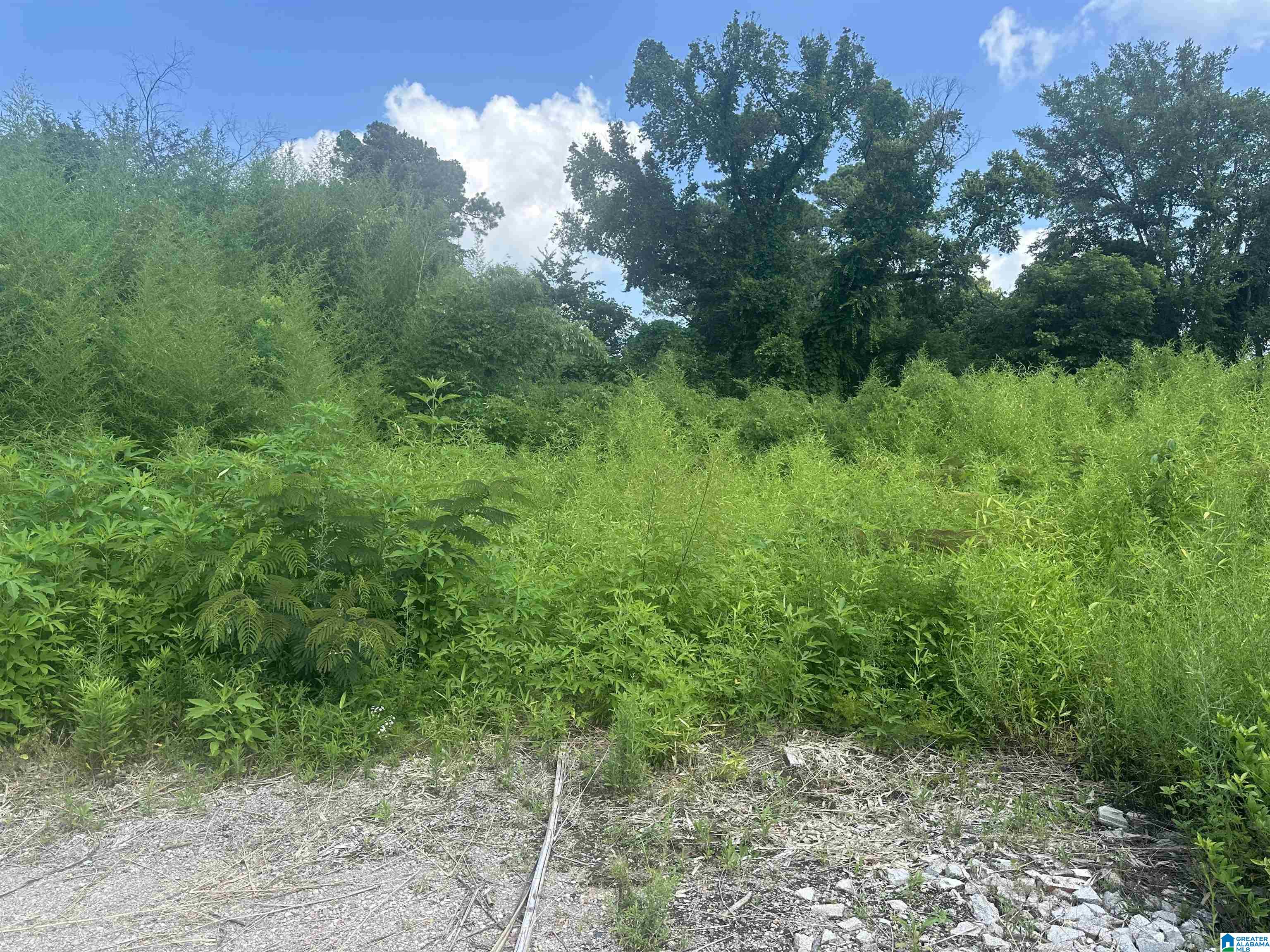 Homes for sale in Fultondale, AL | 2206 Decatur Hwy, Fultondale, AL 35068 | MLS# 21423529