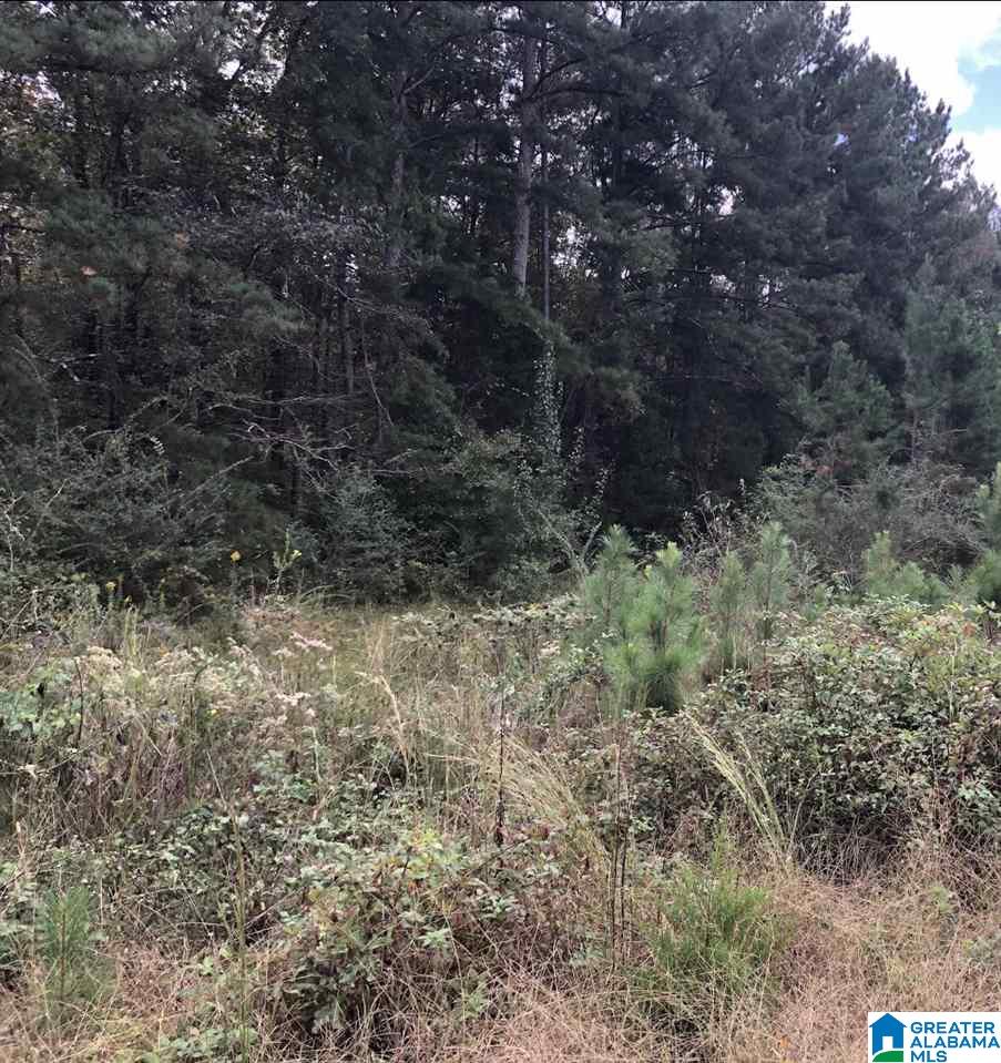 Homes for sale in Lincoln, AL | Thomaston Road, Lincoln, AL 35096 | MLS# 21423552