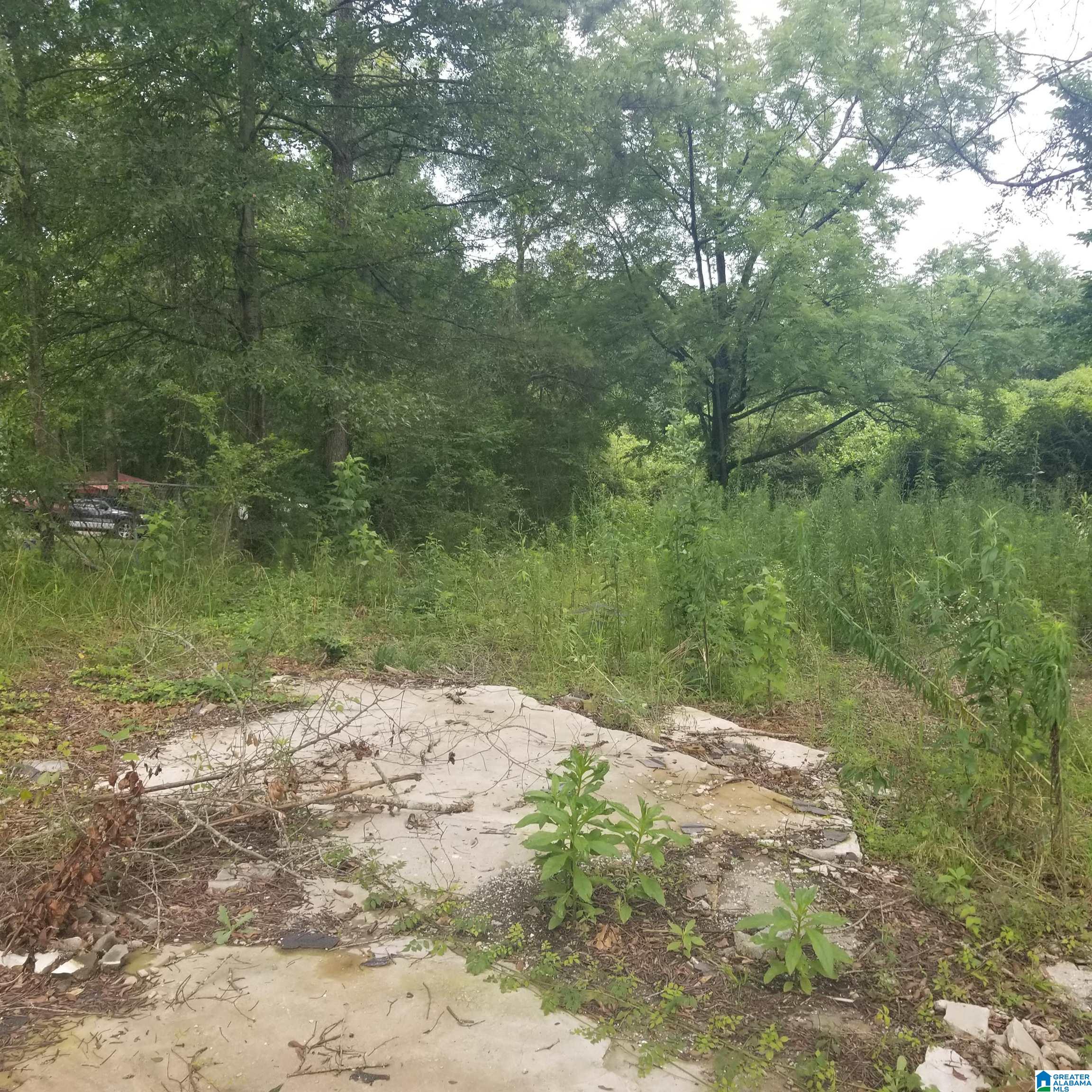 Homes for sale in Riverside, AL | 11284 Us Hwy, Riverside, AL 35135 | MLS# 21423637