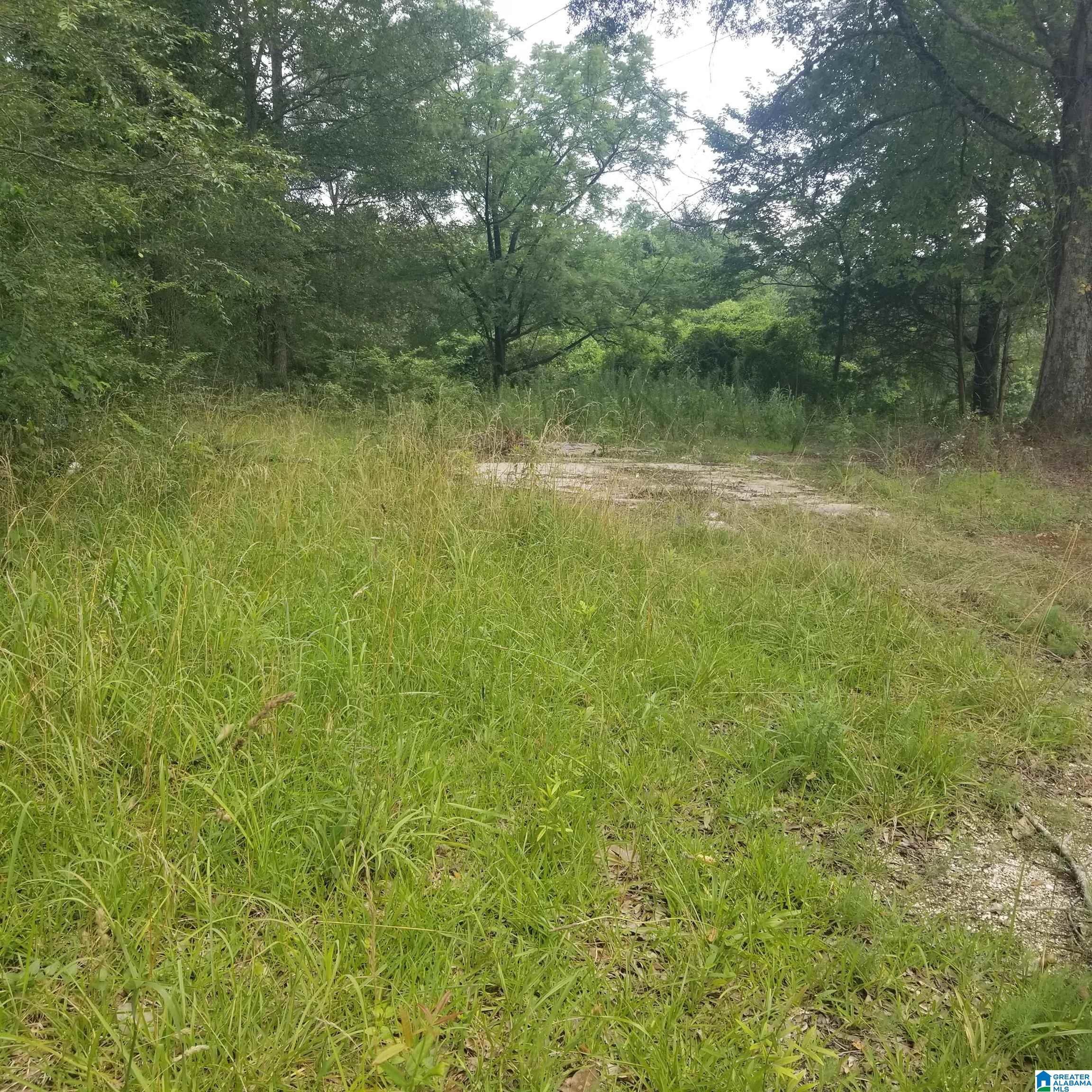 Homes for sale in Riverside, AL | 11284 Us Hwy, Riverside, AL 35135 | MLS# 21423637