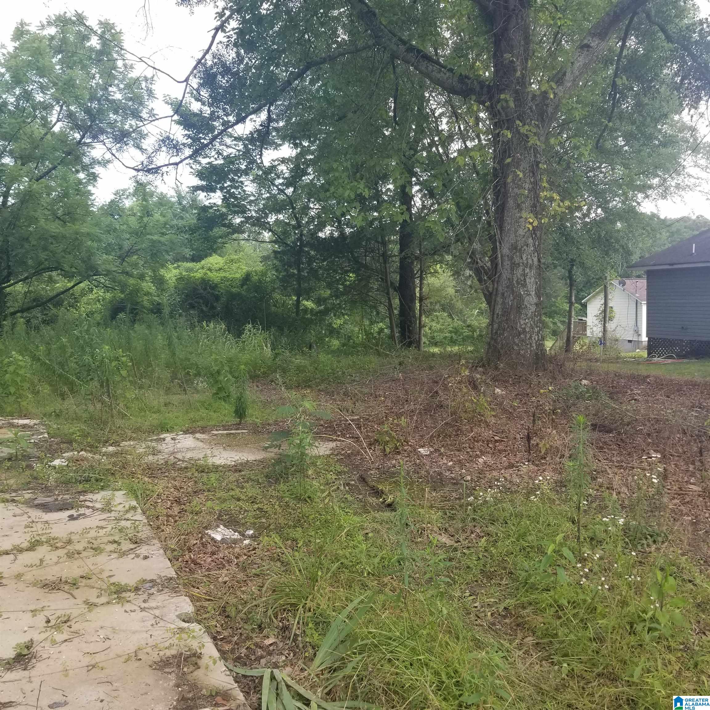 Homes for sale in Riverside, AL | 11284 Us Hwy, Riverside, AL 35135 | MLS# 21423637