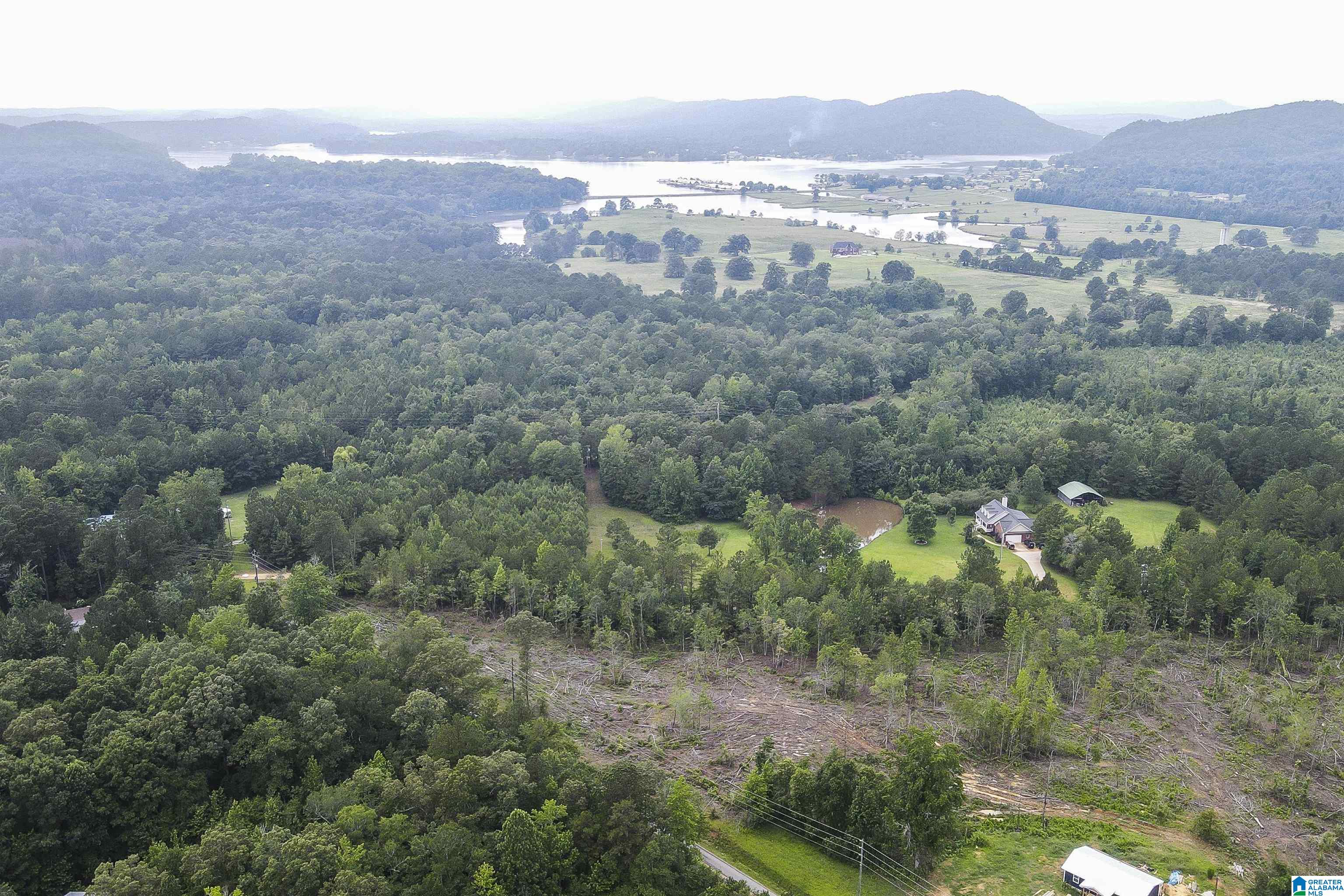 Homes for sale in Ohatchee, AL | 0 Cochran Springs Road, Ohatchee, AL 36271 | MLS# 21423683