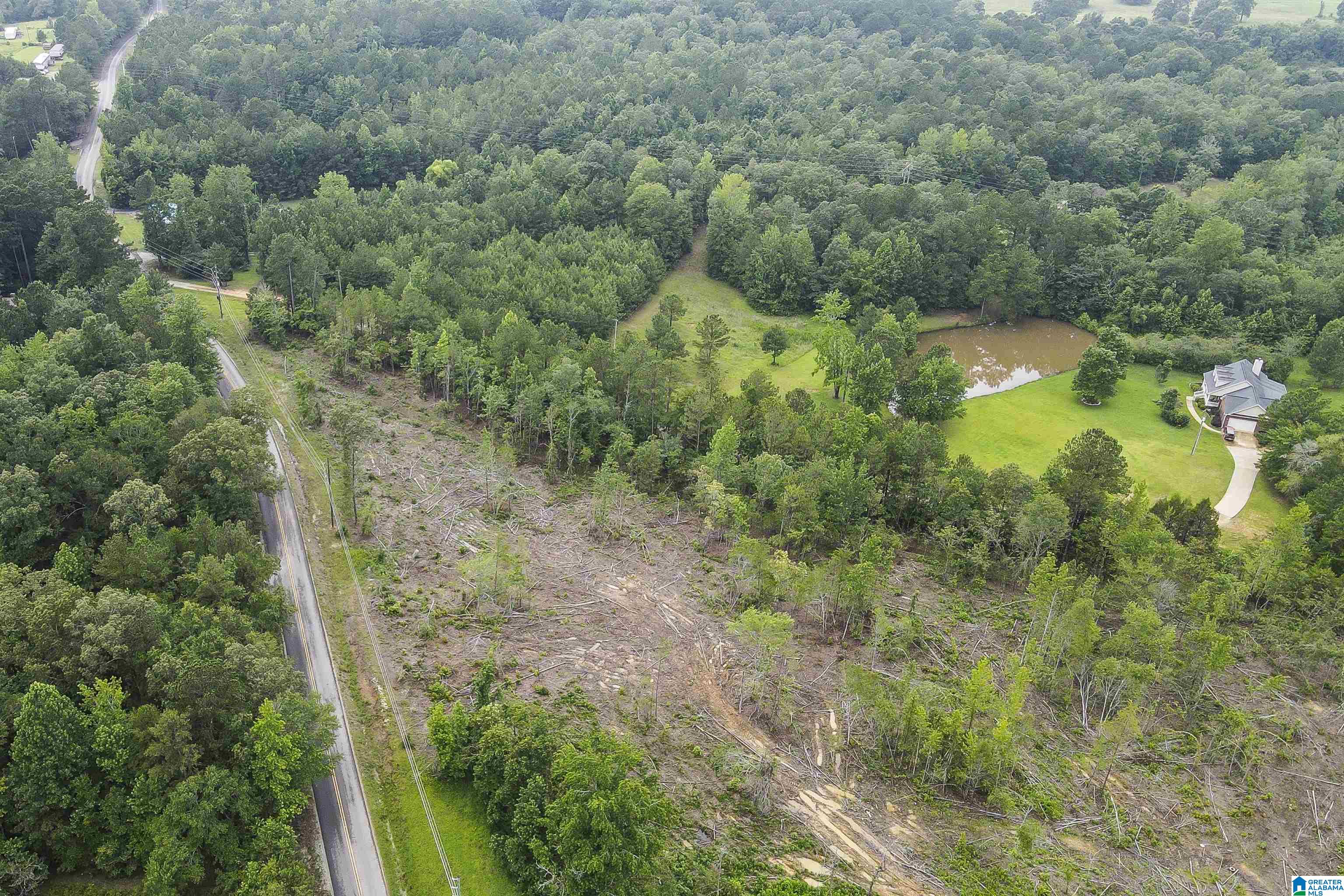 Homes for sale in Ohatchee, AL | 0 Cochran Springs Road, Ohatchee, AL 36271 | MLS# 21423683