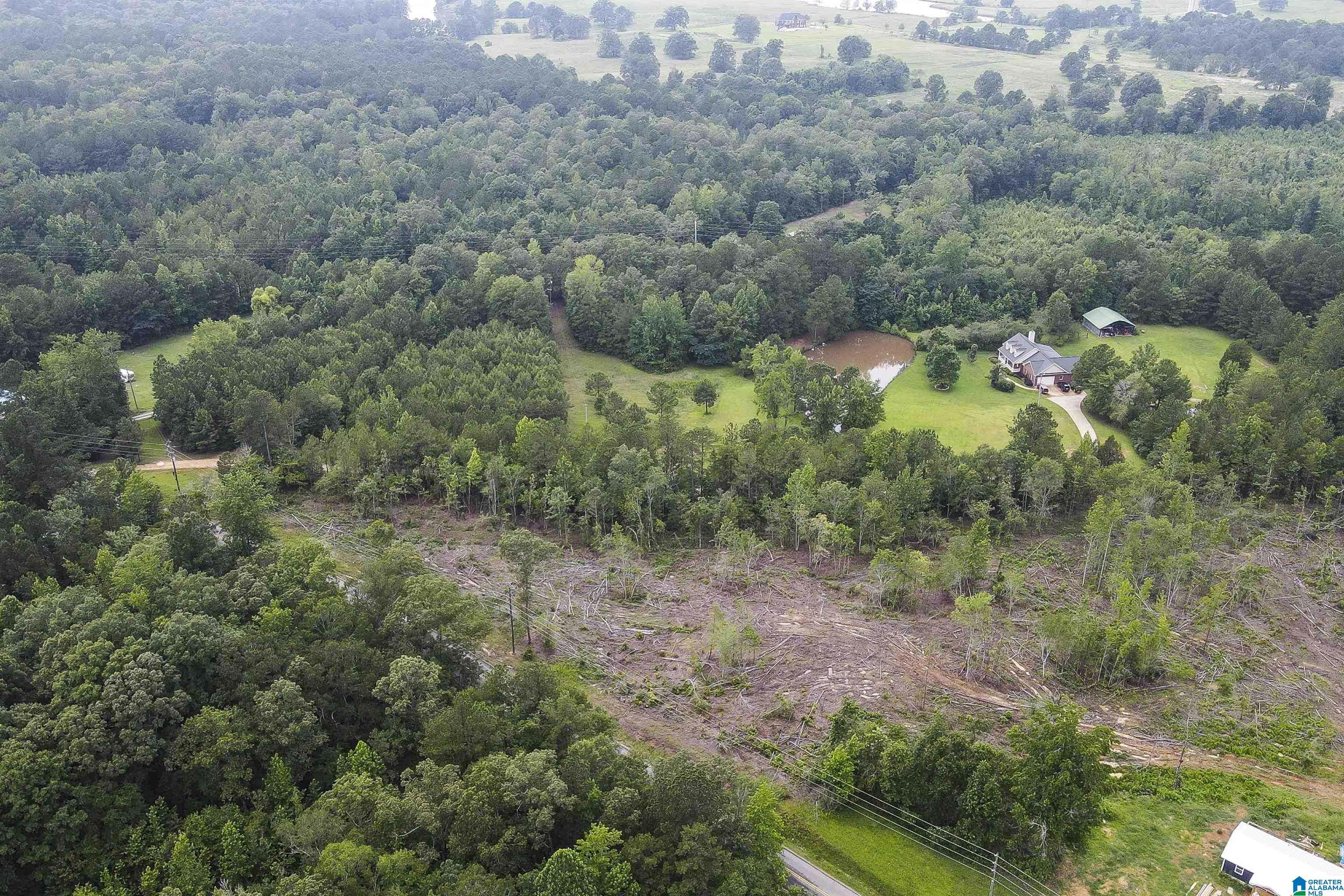 Homes for sale in Ohatchee, AL | 0 Cochran Springs Road, Ohatchee, AL 36271 | MLS# 21423683