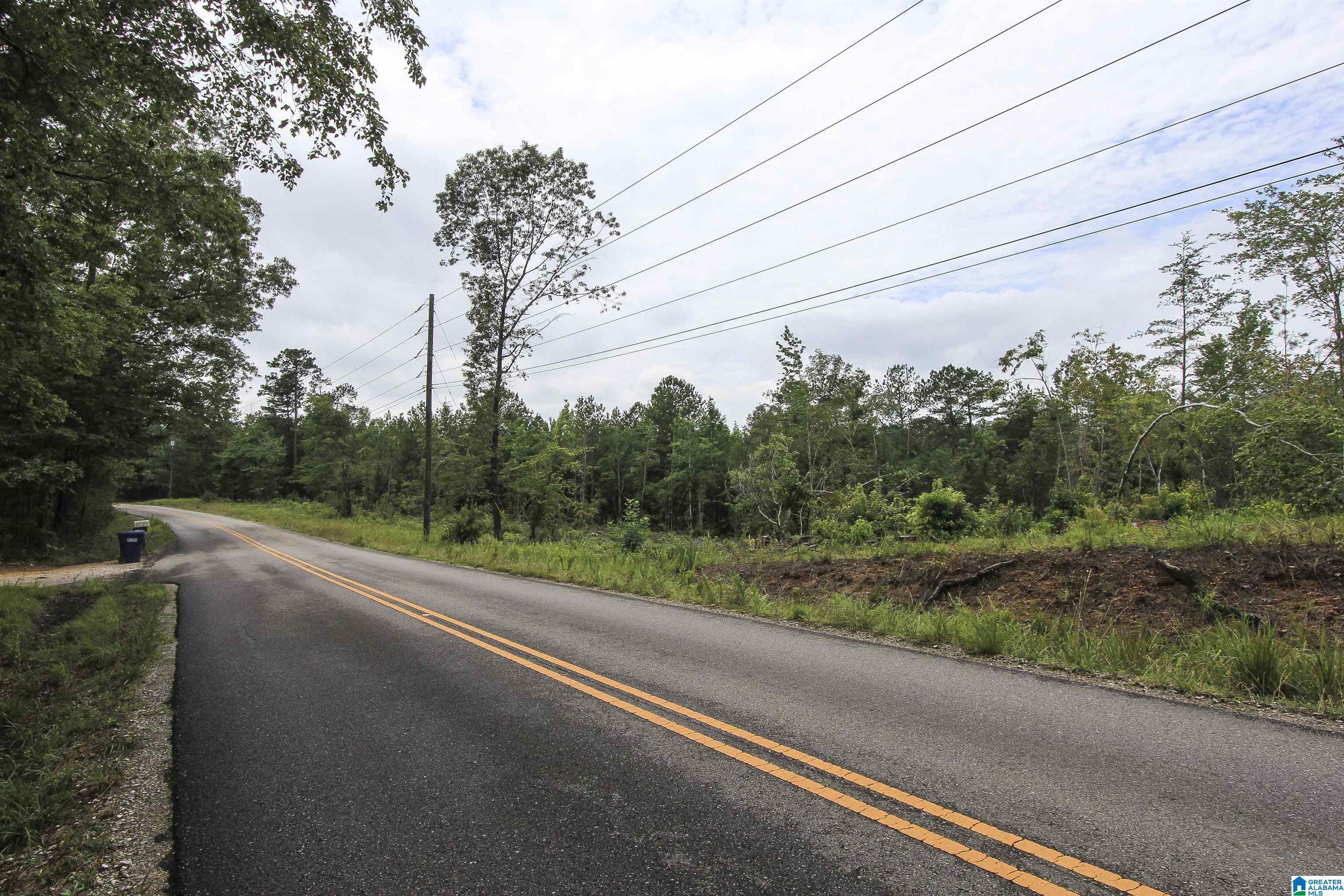 Homes for sale in Ohatchee, AL | 0 Cochran Springs Road, Ohatchee, AL 36271 | MLS# 21423683