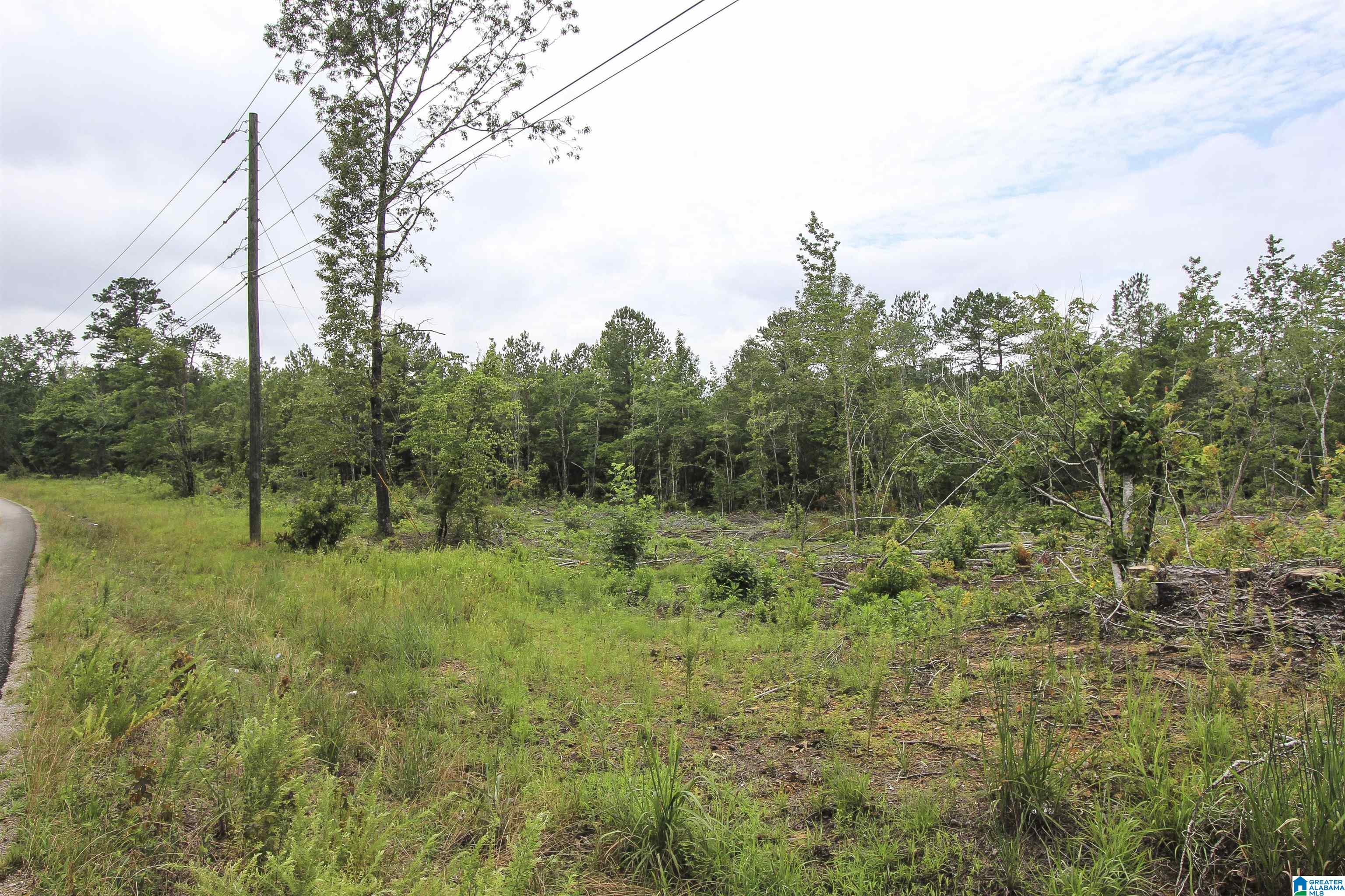 Homes for sale in Ohatchee, AL | 0 Cochran Springs Road, Ohatchee, AL 36271 | MLS# 21423683